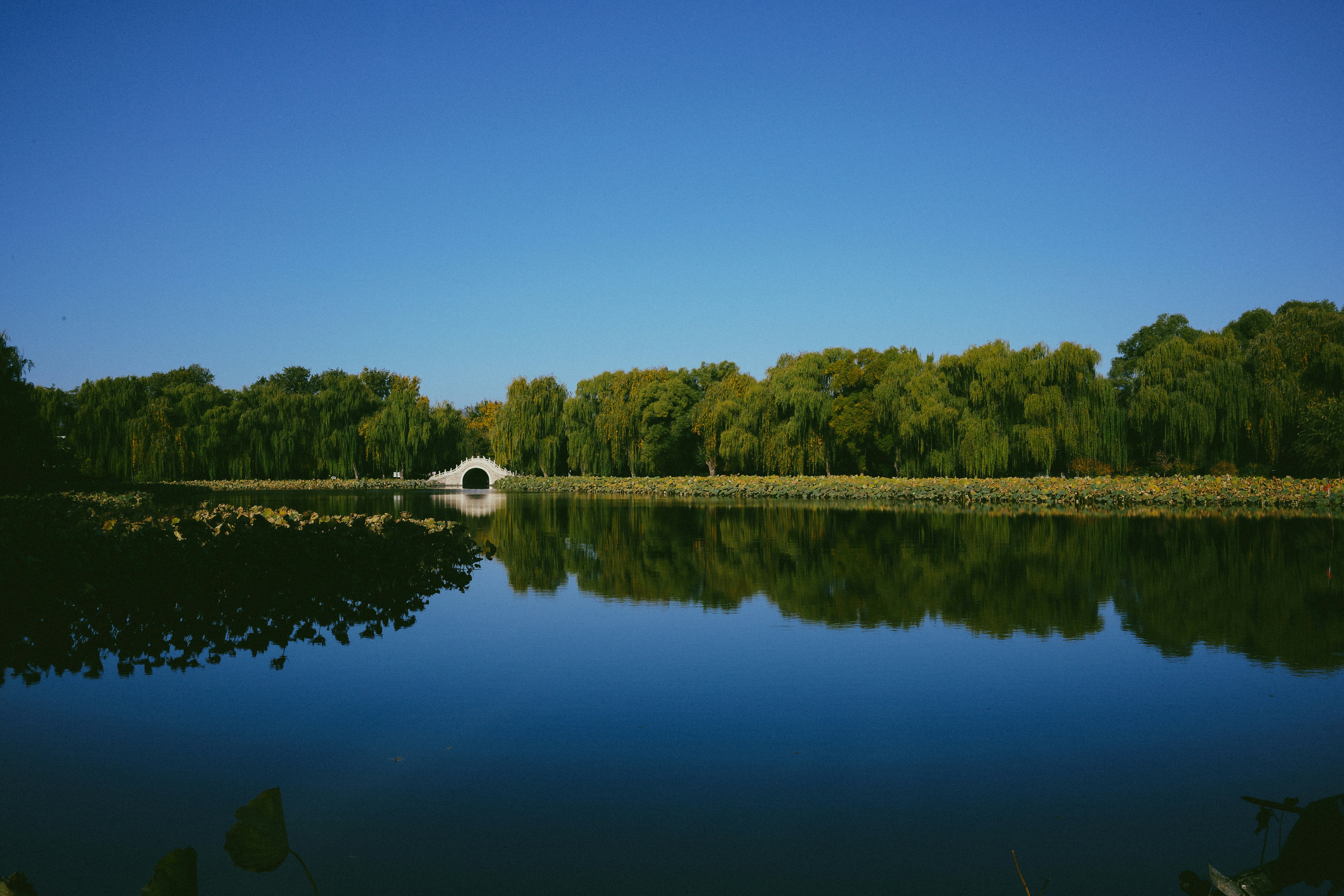 Photo by tommaomaoer