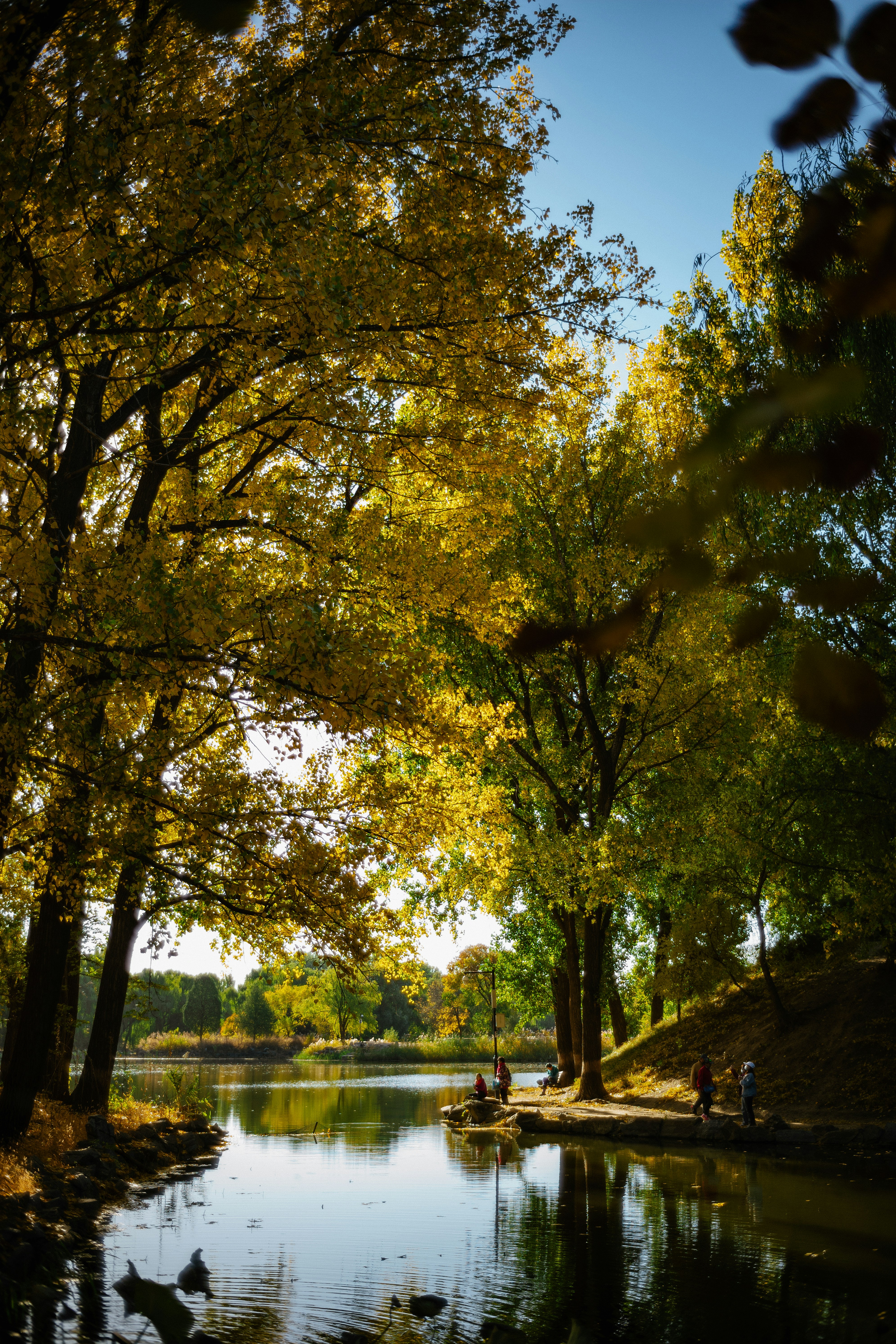 Photo by tommaomaoer