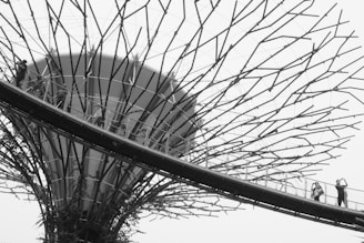 A modern architectural structure resembling a large tree with a network of metal branches extends upwards. People can be seen walking along an elevated pathway that wraps around the structure, indicating an observational walkway. The design is intricate, showcasing a blend of nature and technology.