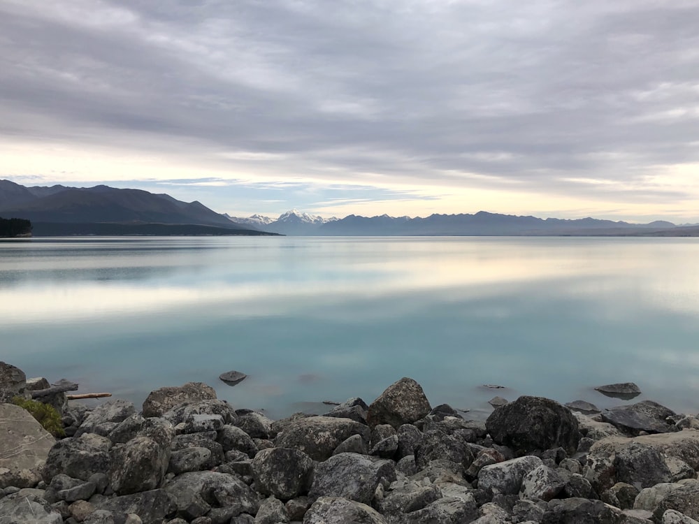 a rocky shore with a body of water in the background