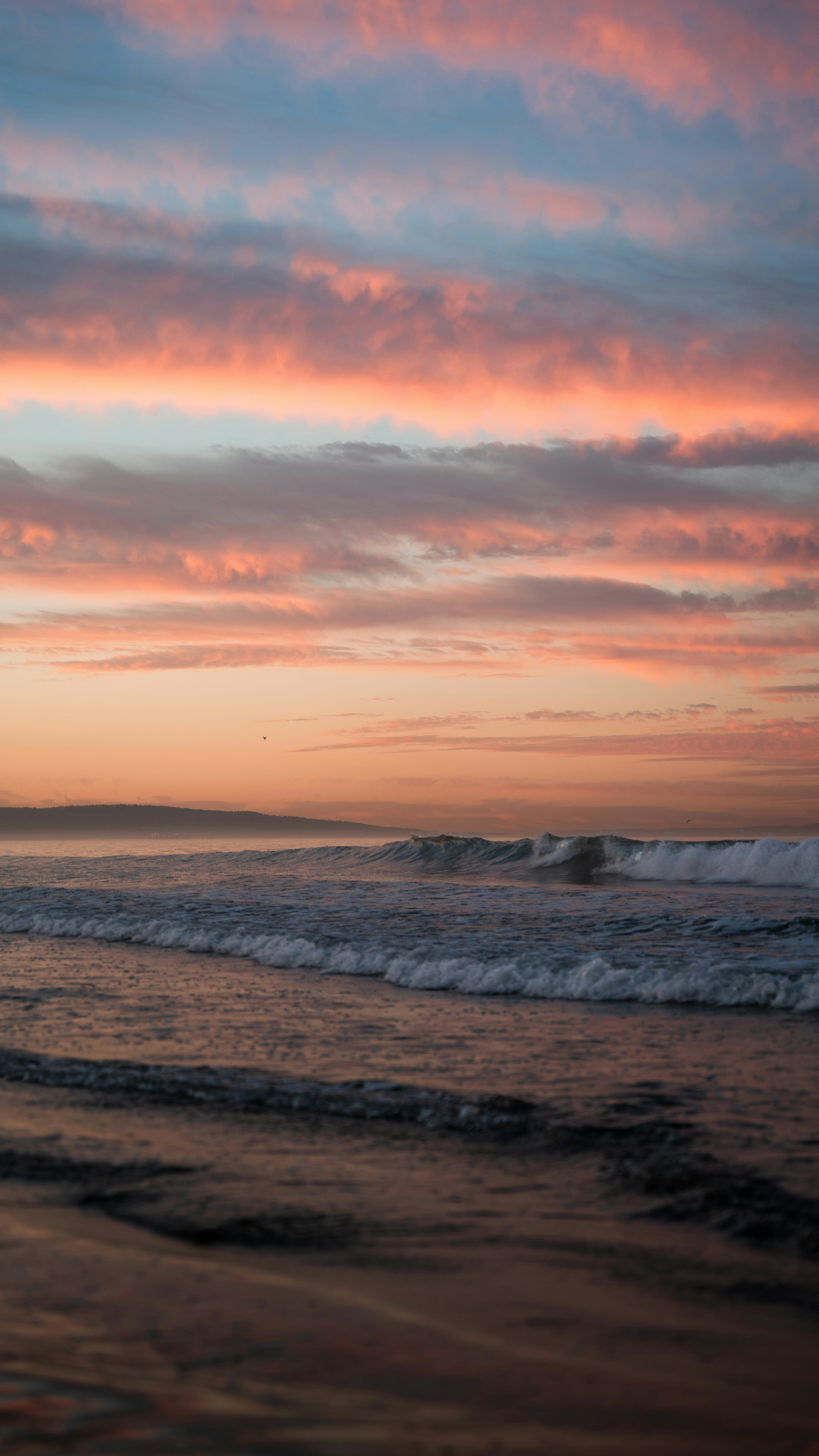 Photo by harrisonmitchell