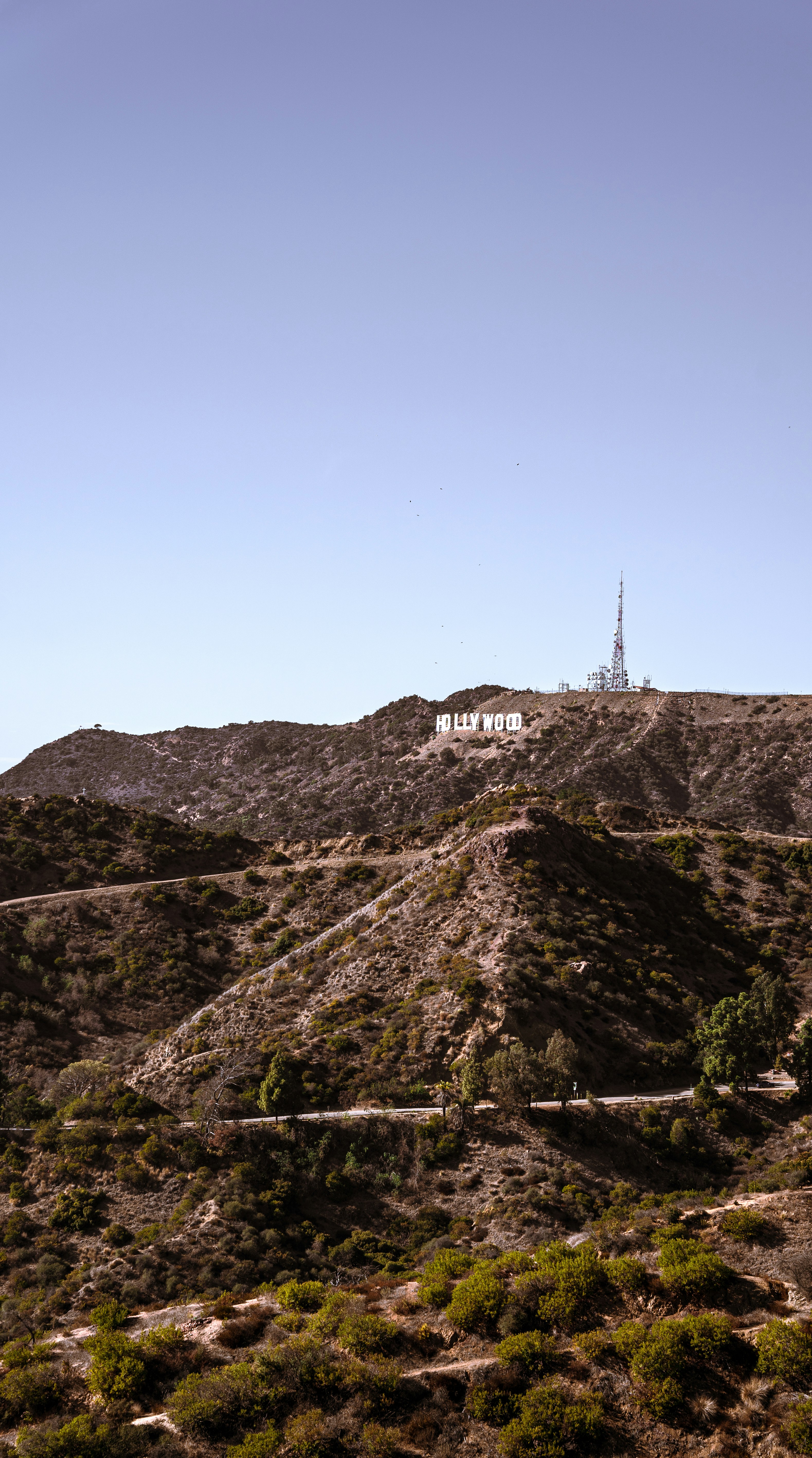 Photo by harrisonmitchell