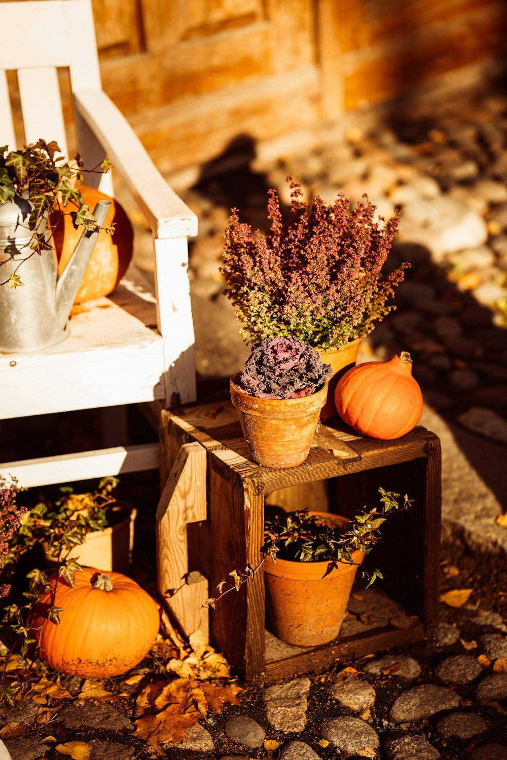 a table with pumpkins and plants