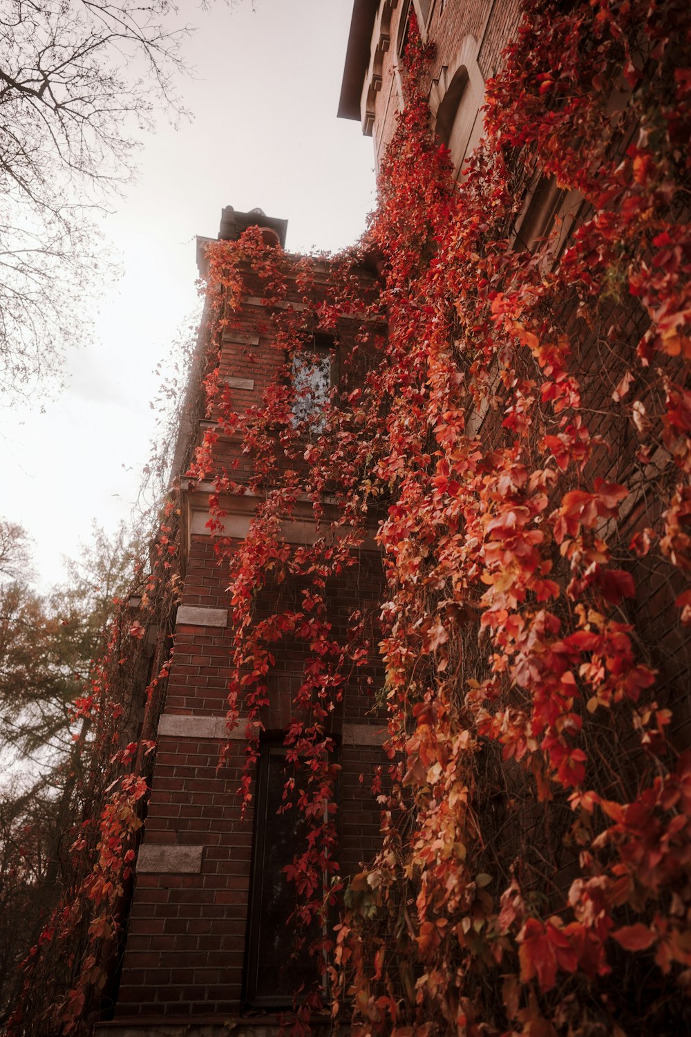 Un edificio de ladrillo con hojas rojas