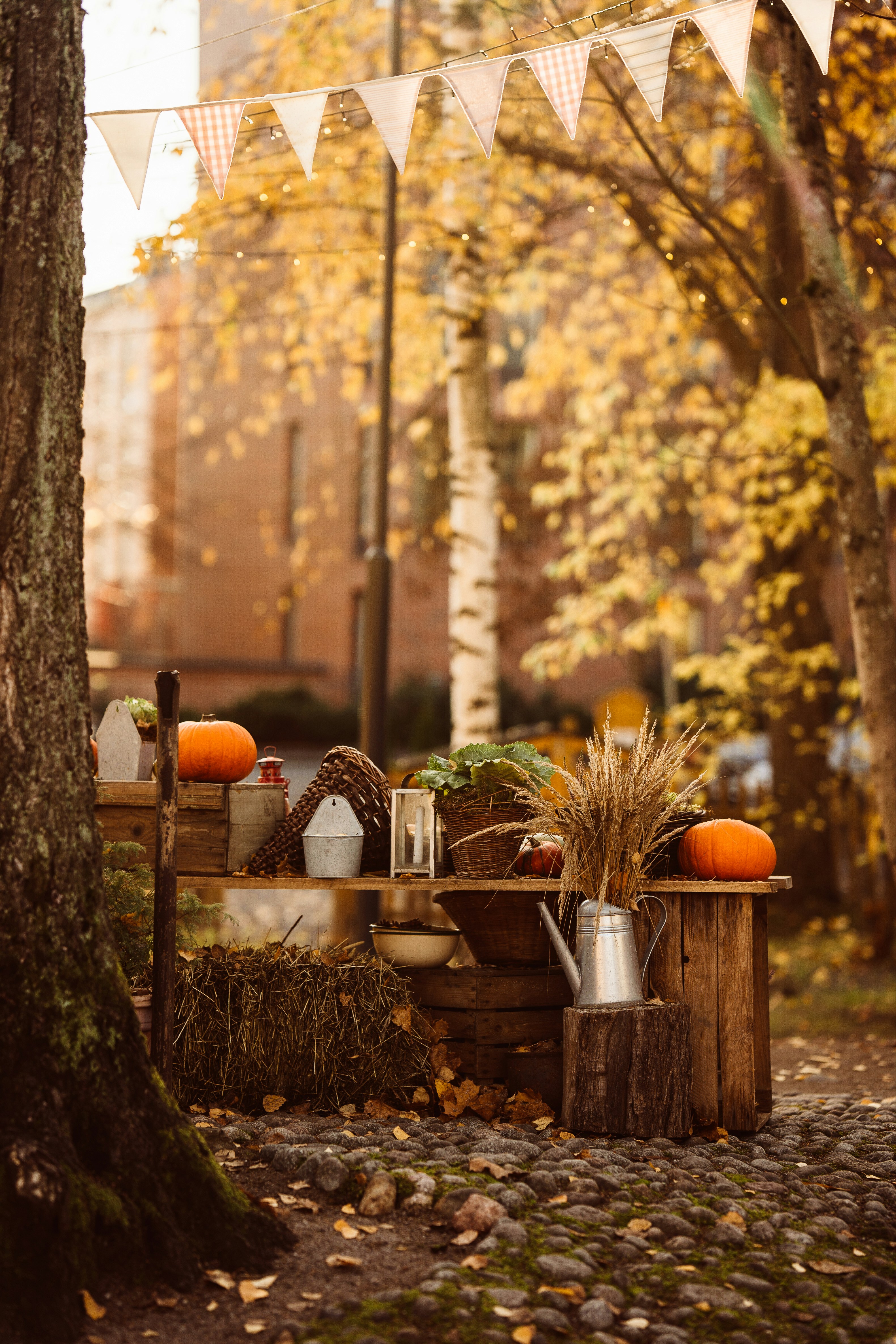 a table with a few pumpkins and a few pumpkins on it