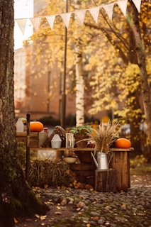 a table with a few pumpkins and a few pumpkins on it