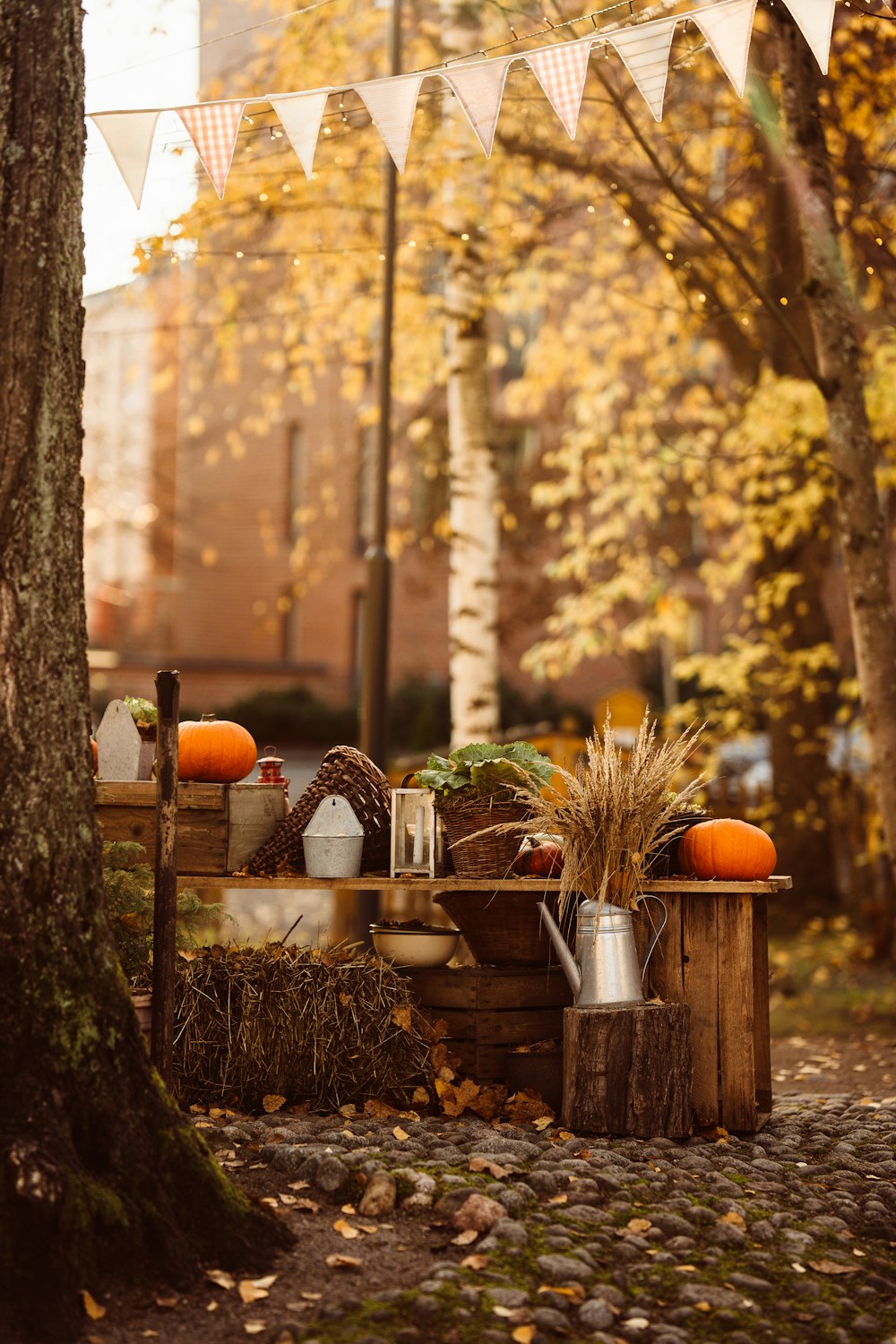 a table with a few pumpkins and a few pumpkins on it