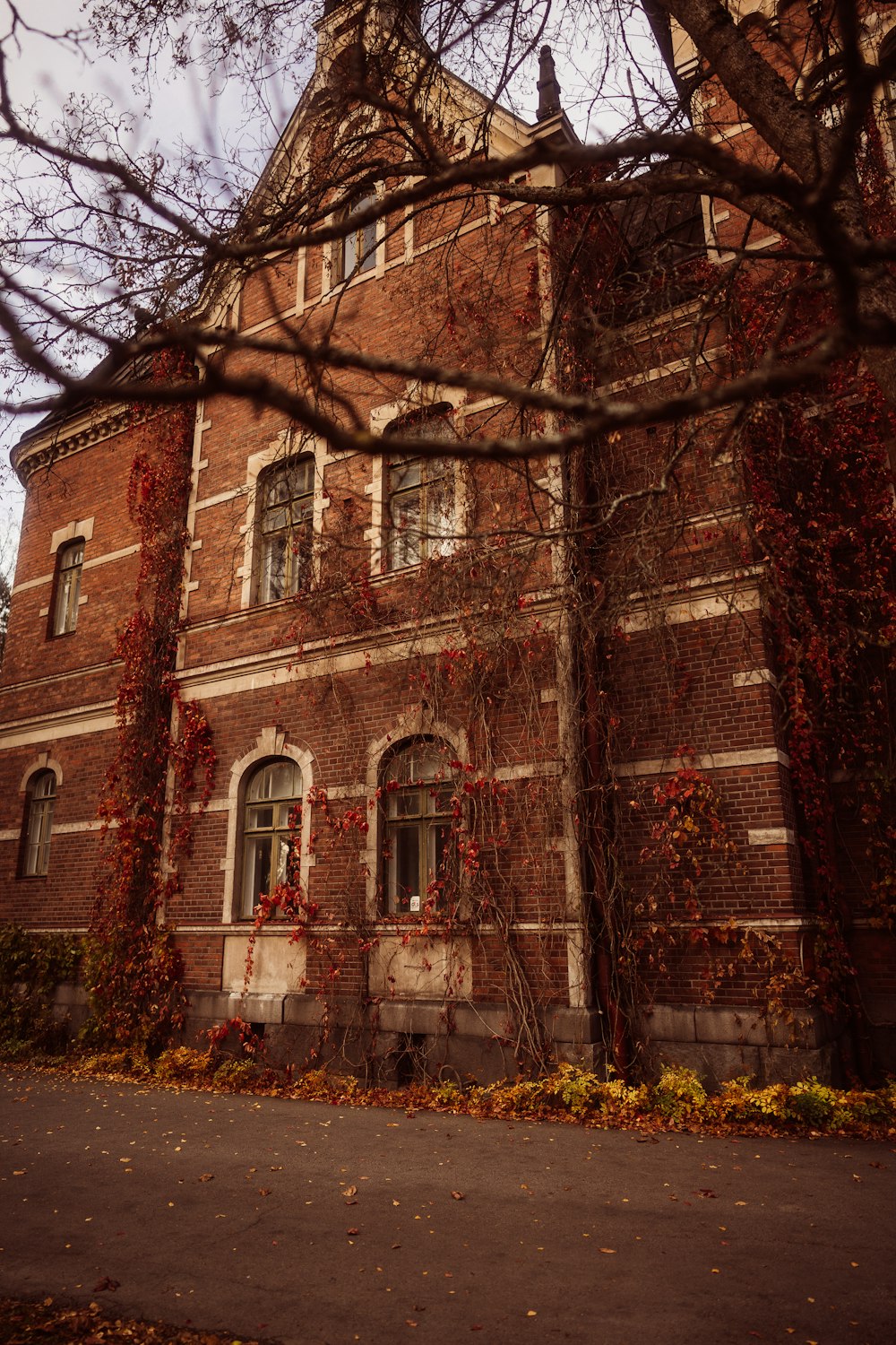 ein Backsteingebäude mit einem Baum davor