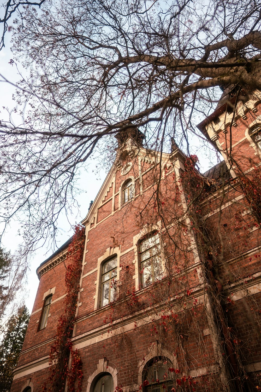 a brick building with a tree in the front