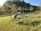 Natural farm landscape showing wooden fences and lush green grass with goats roaming freely.
