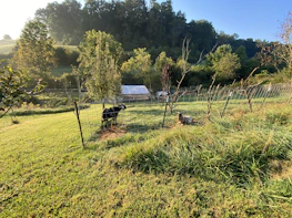 Natural farm landscape showing wooden fences and lush green grass with goats roaming freely.