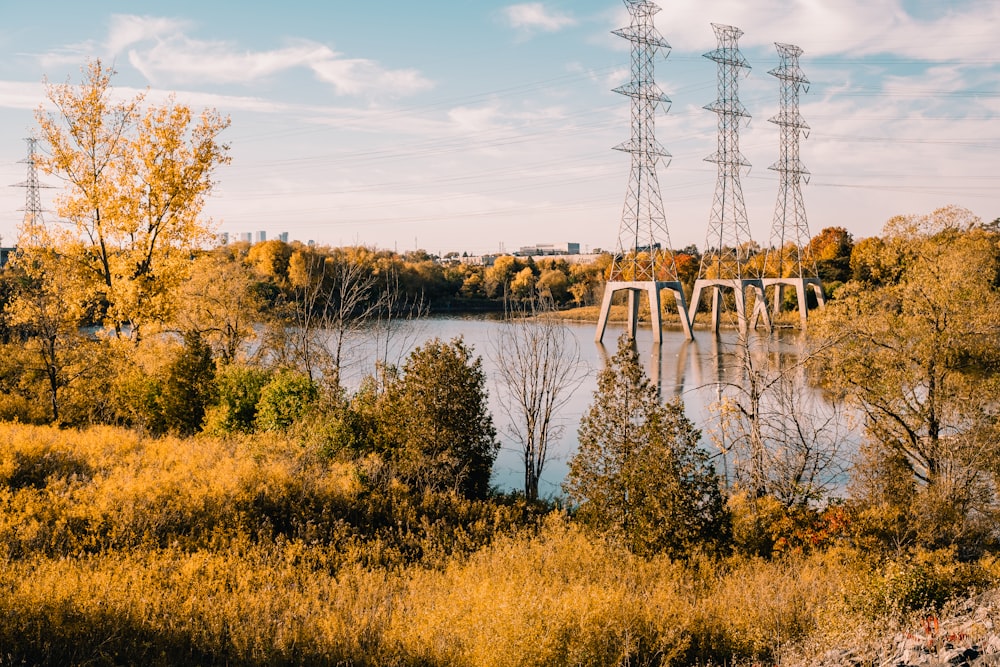 a body of water with trees and power lines in the background