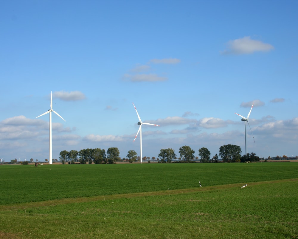 un groupe d’éoliennes dans un champ