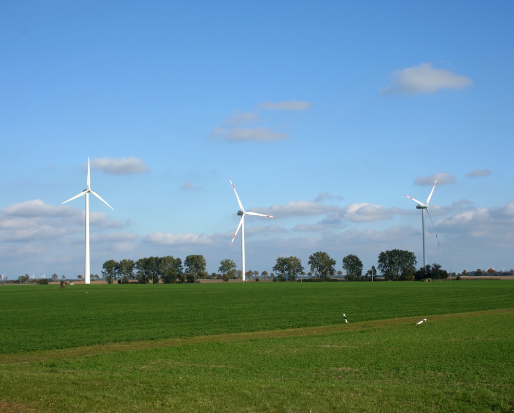 a group of wind turbines in a field