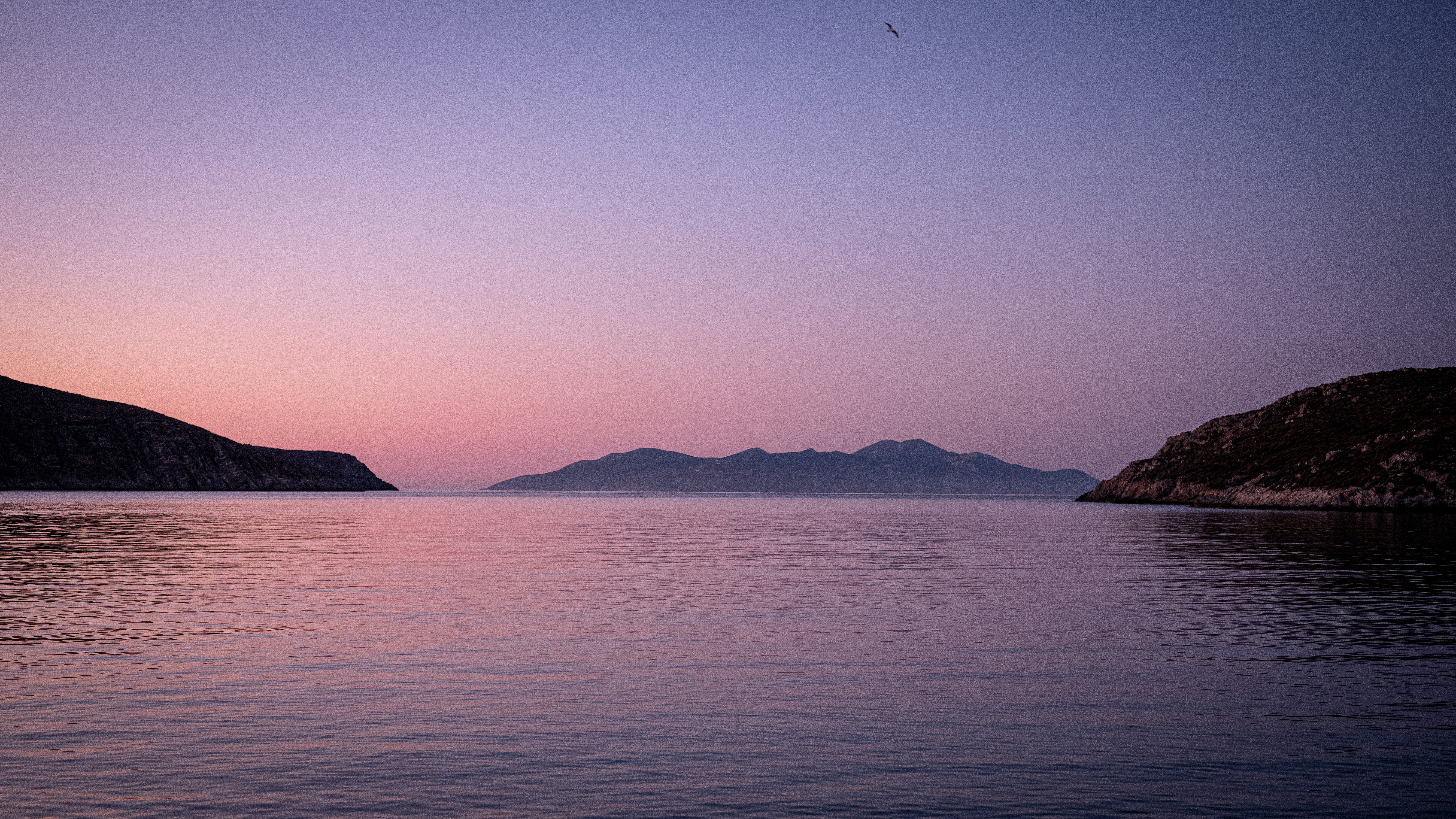 Photo by shotbyreupie