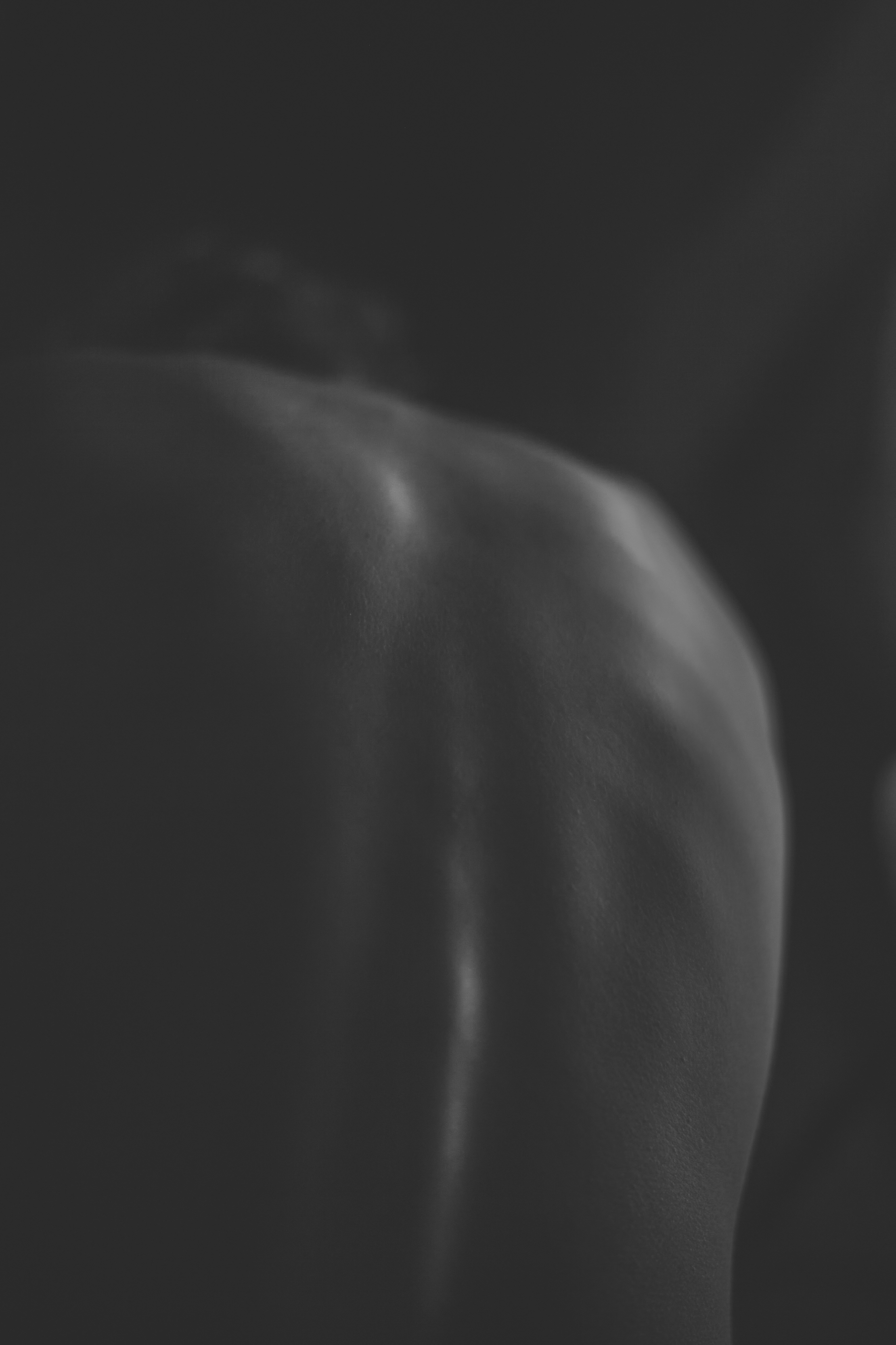 Photo by viktoriaaaae