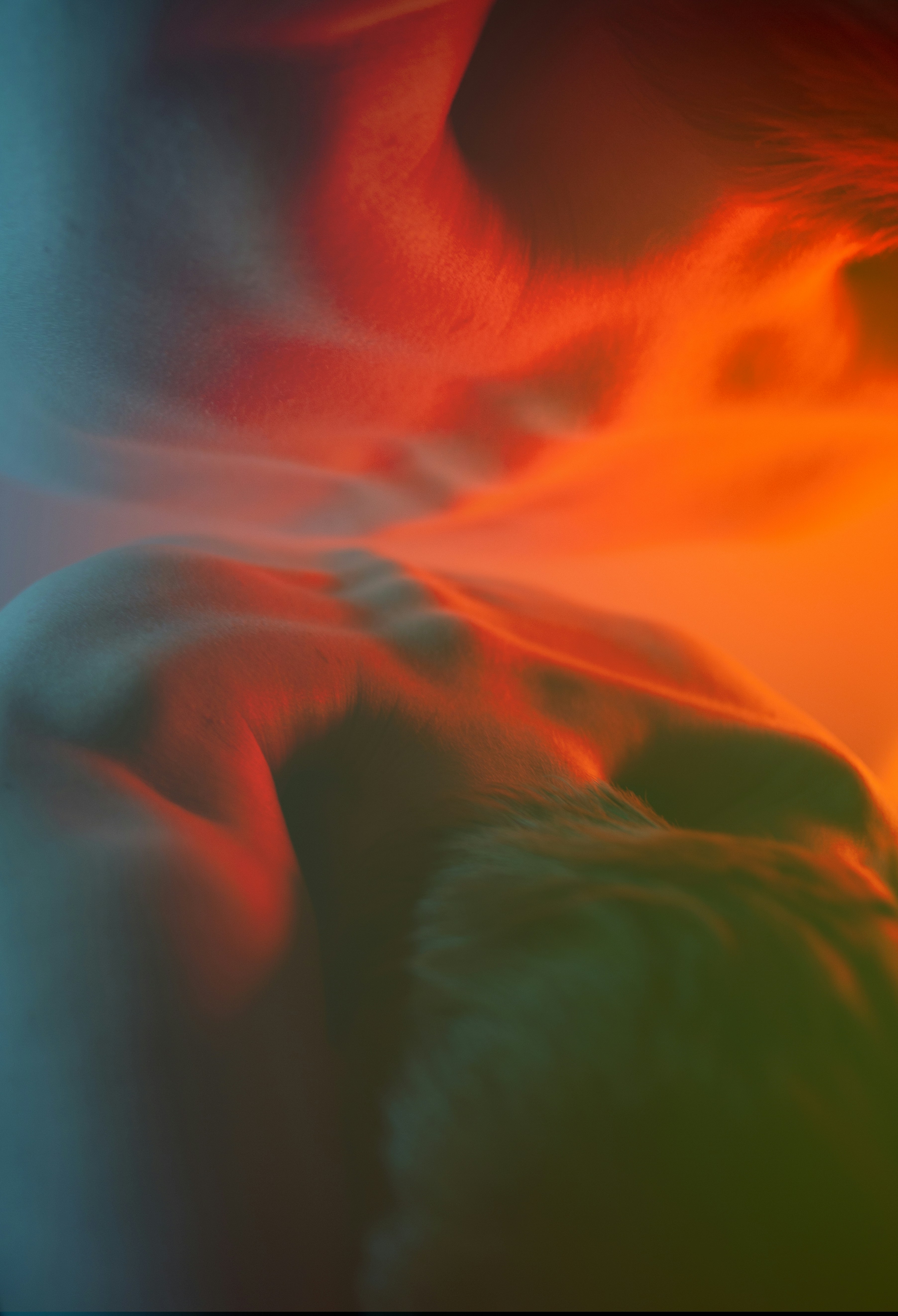 Photo by viktoriaaaae