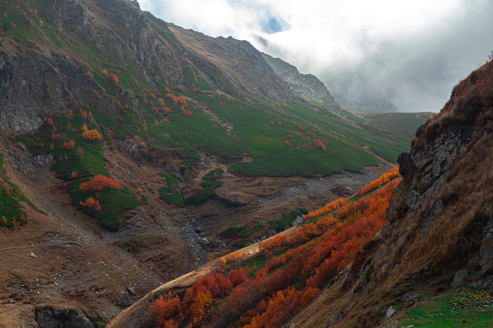 a valley between mountains