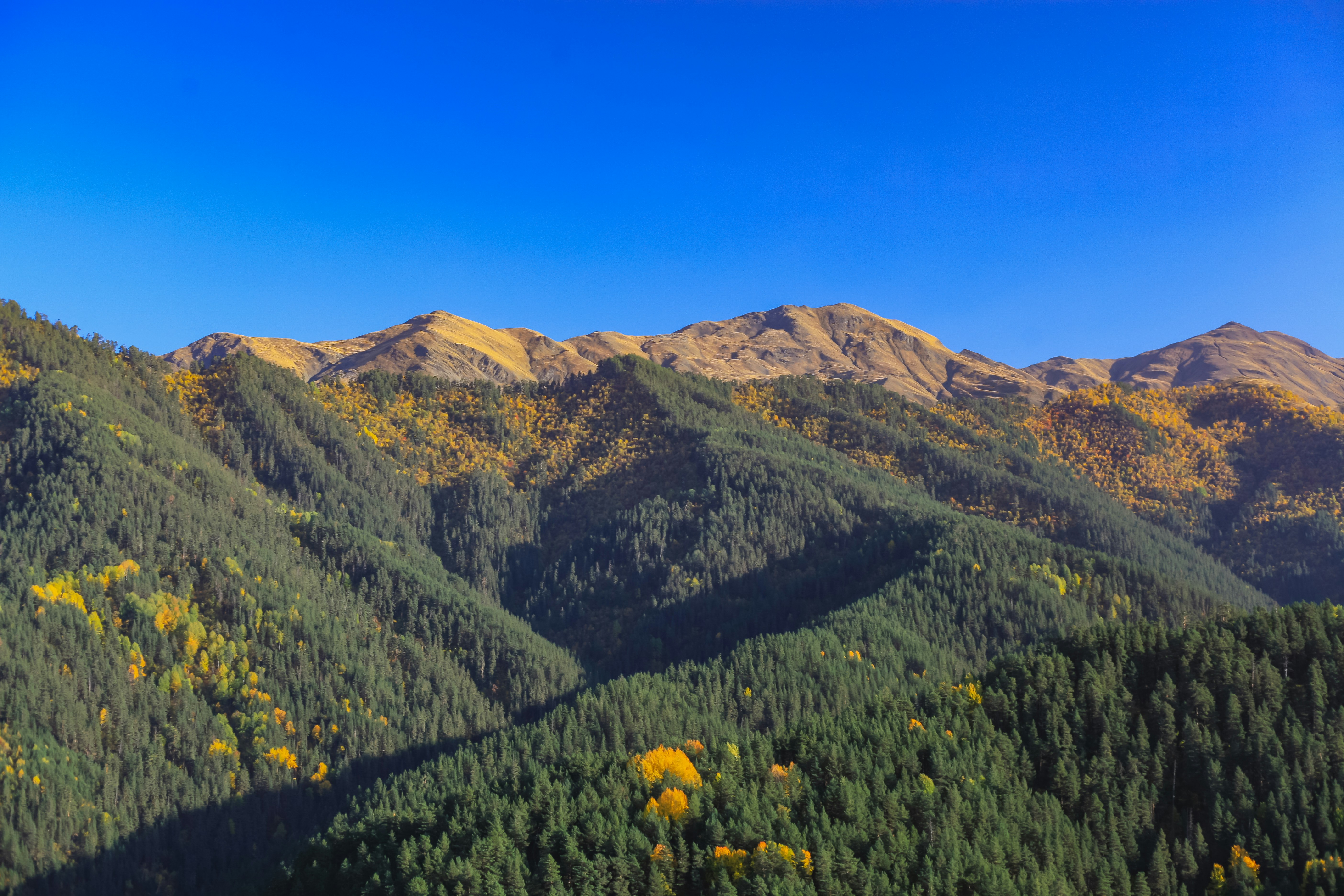 Un paisaje con colinas y árboles