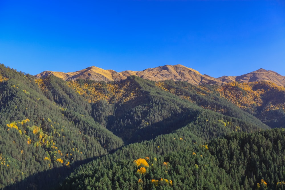 a landscape with hills and trees