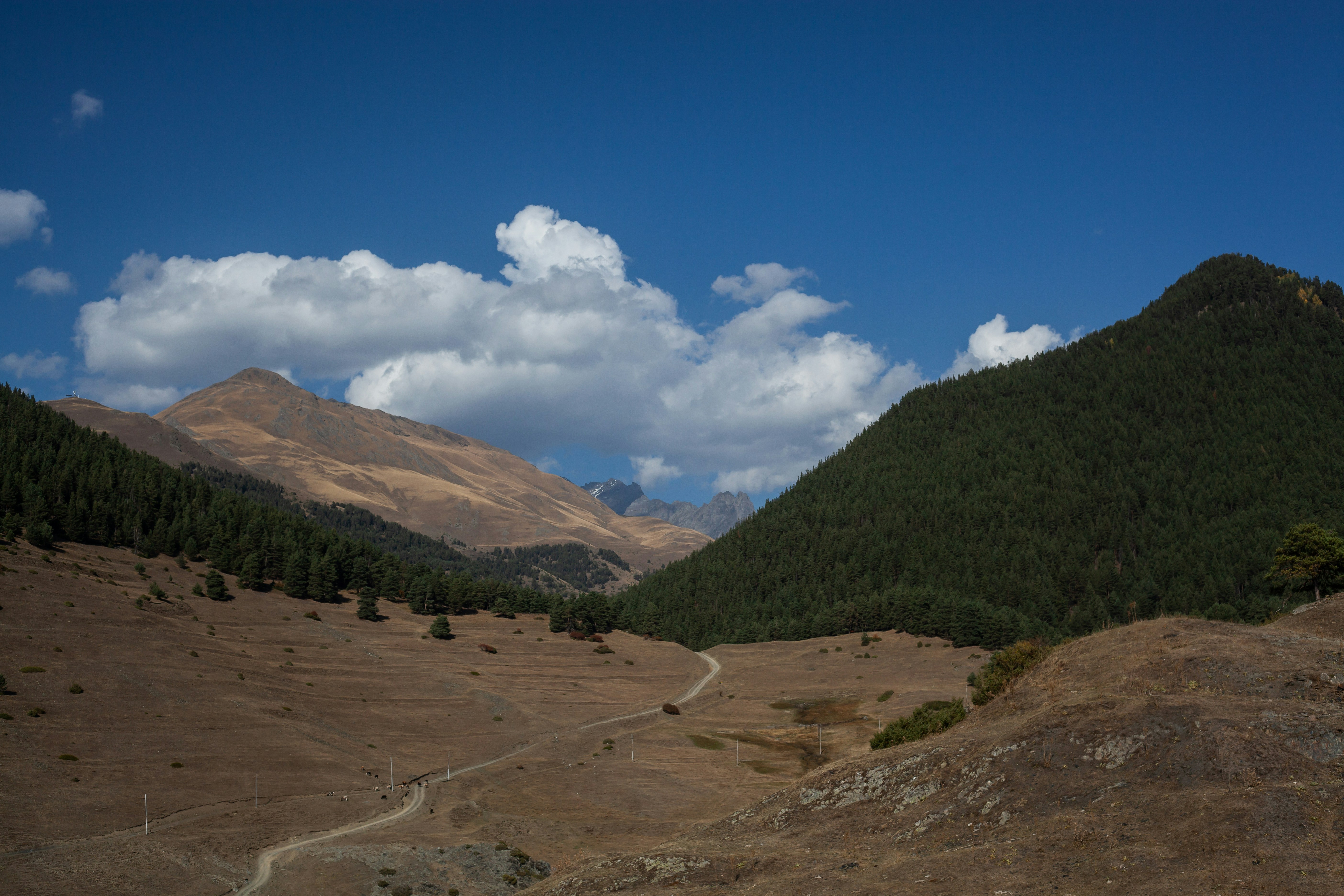Un camino de tierra en un valle