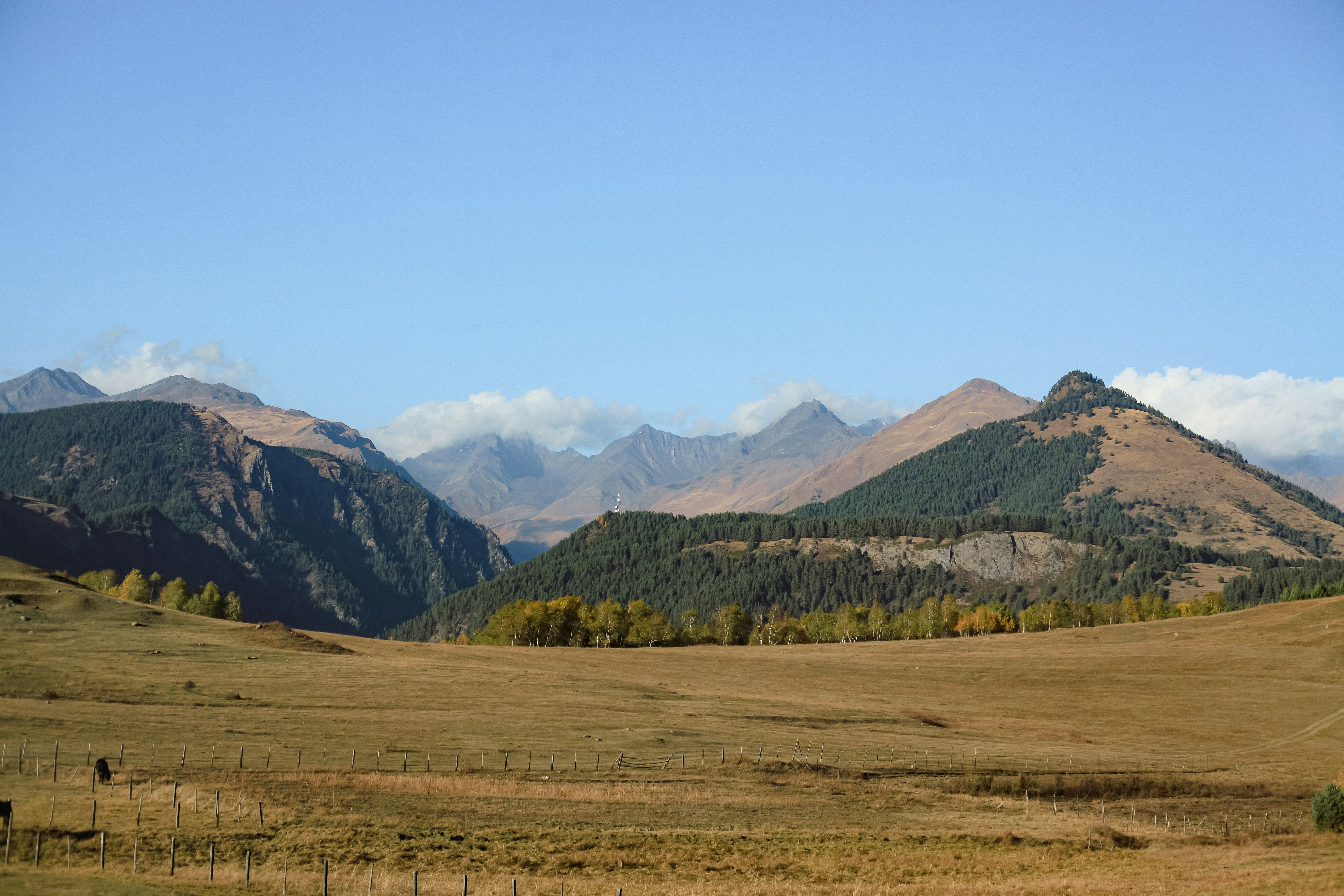 a field with mountains in the background, 