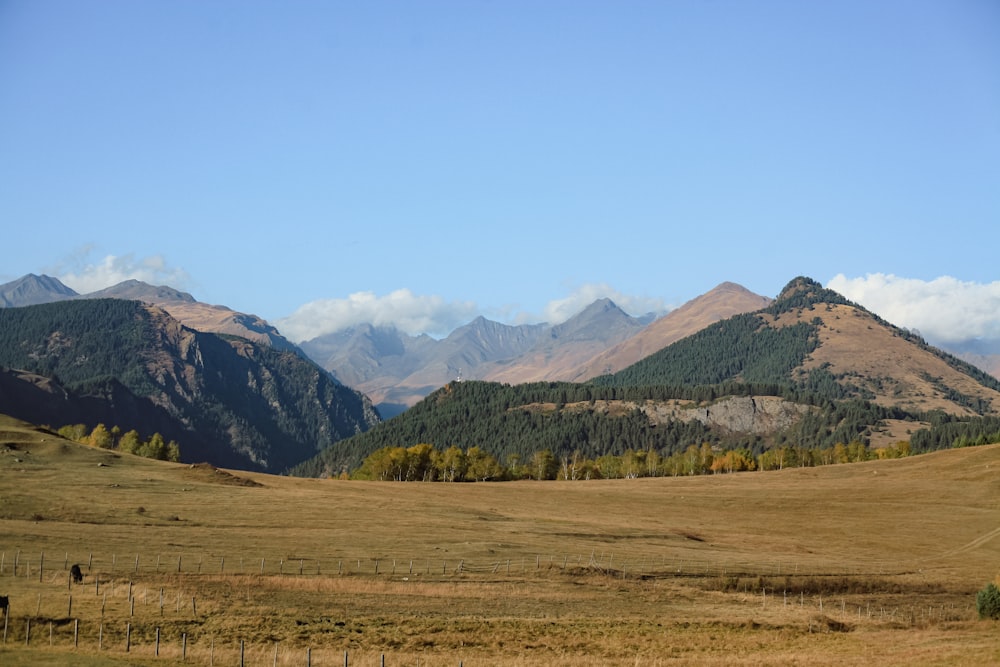 a field with mountains in the background