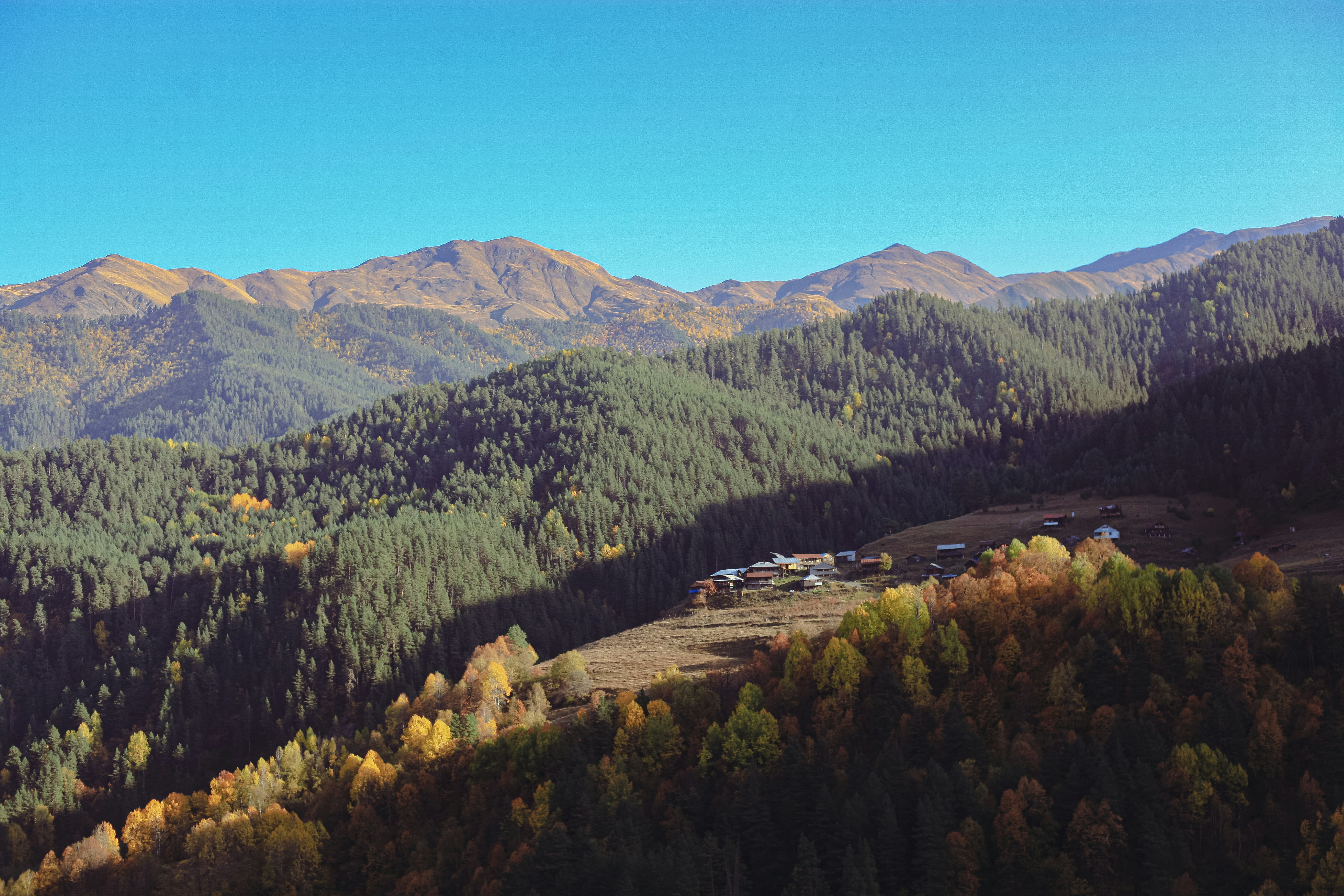 Un paisaje con árboles y montañas