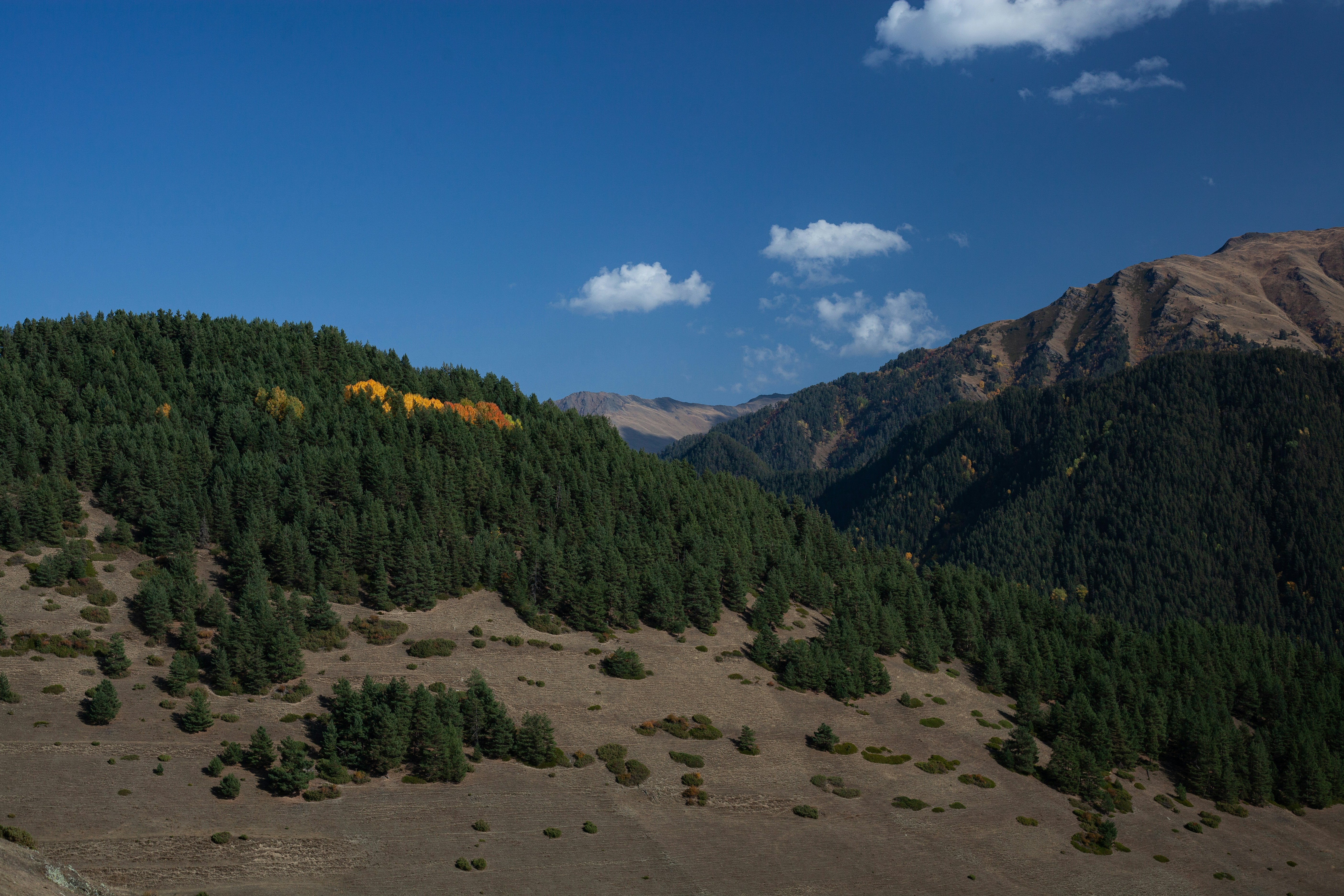 Un paisaje con colinas y árboles