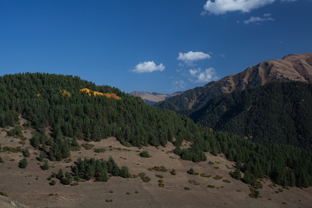 a landscape with hills and trees