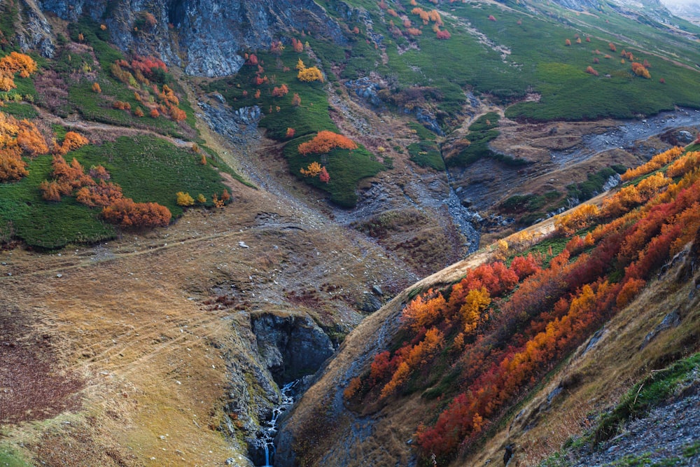 a river running through a valley