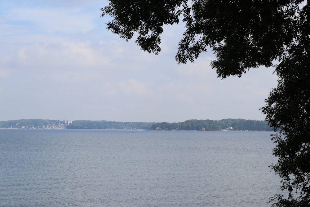 a body of water with trees around it