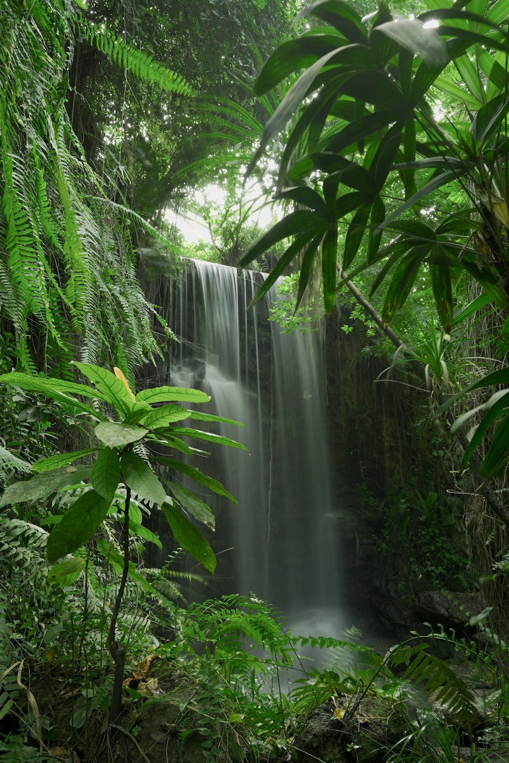 a waterfall in a forest