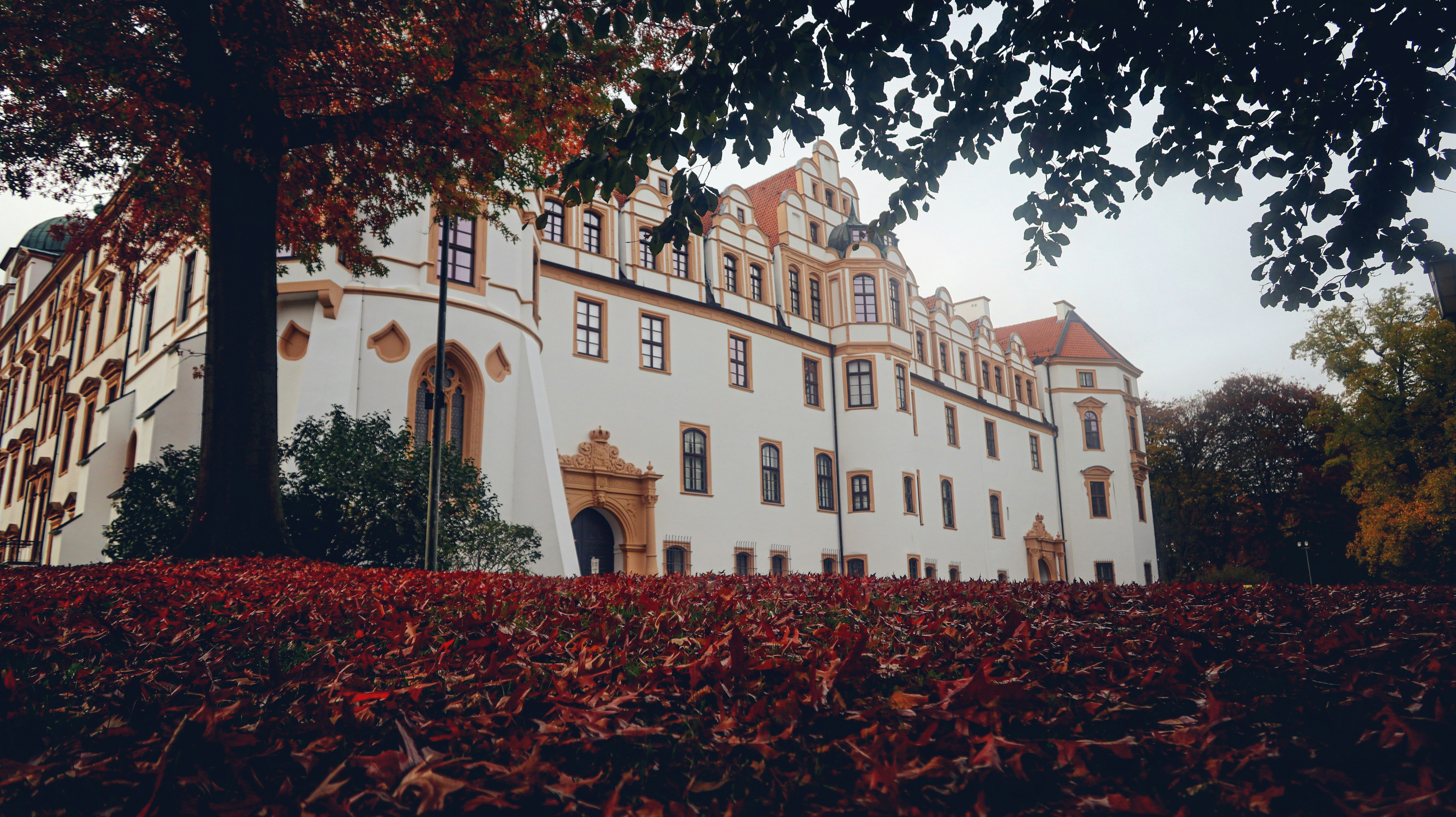 Photo by tolikrurac82