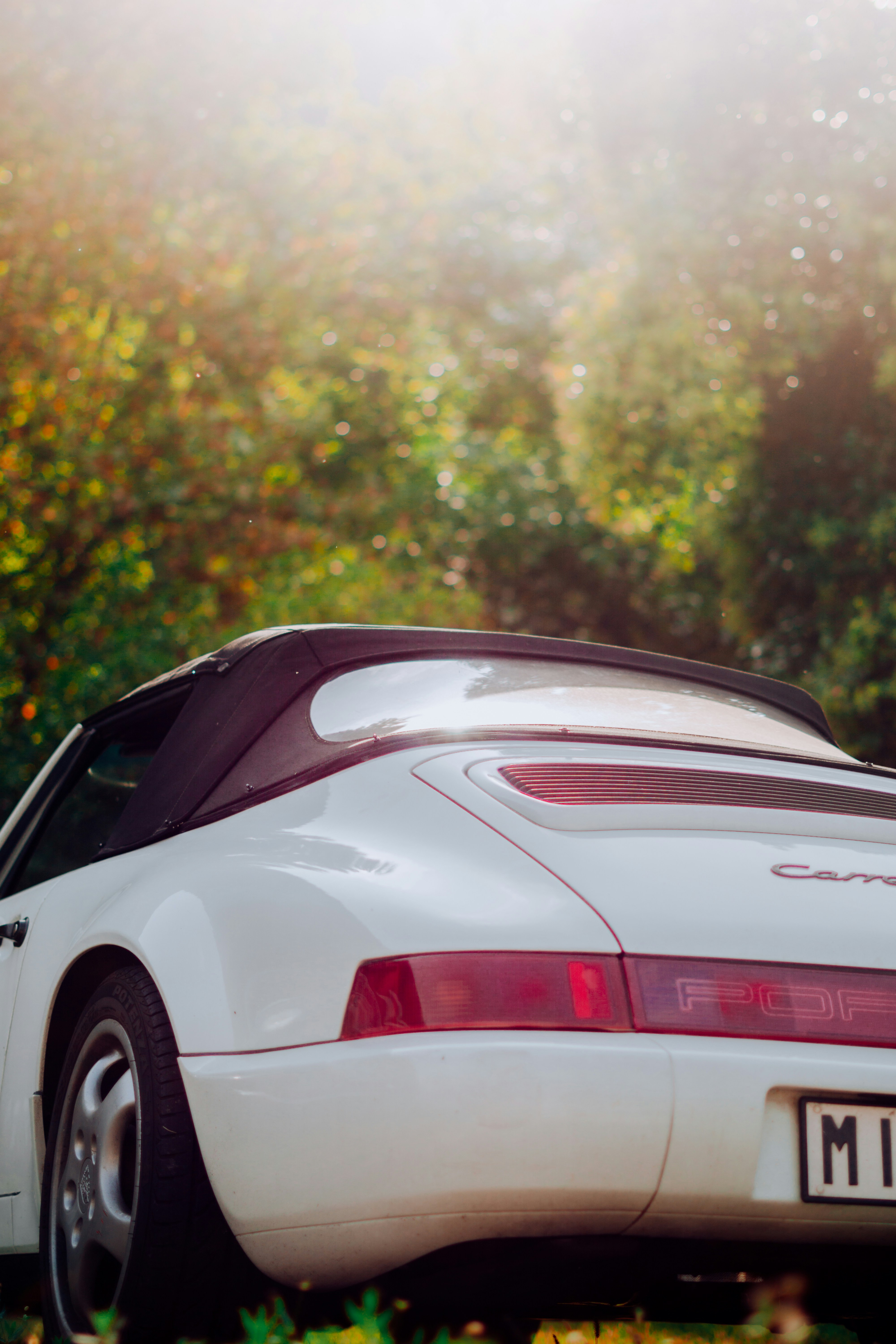 Photo by ilnevischio