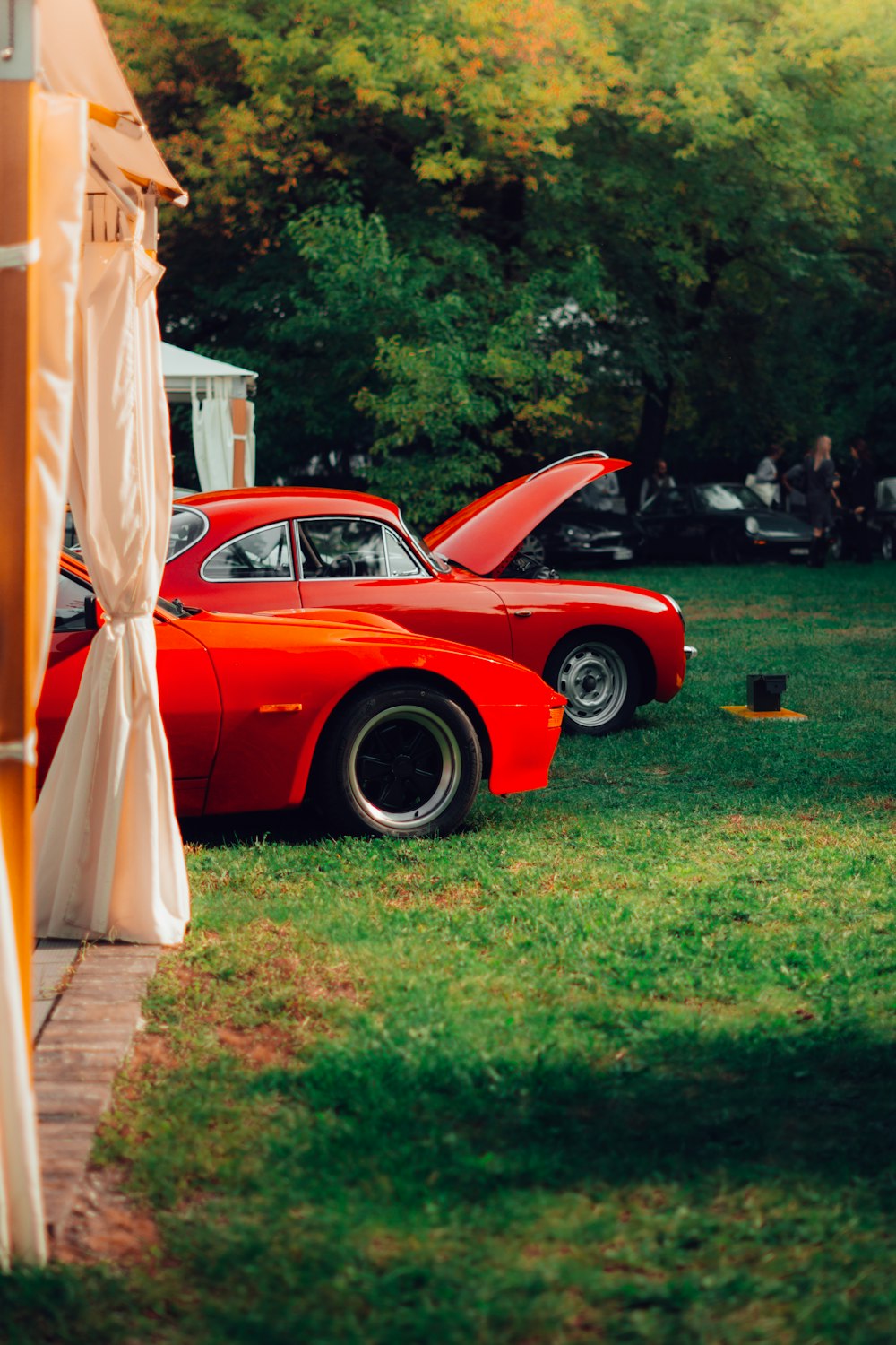 a red car parked on grass