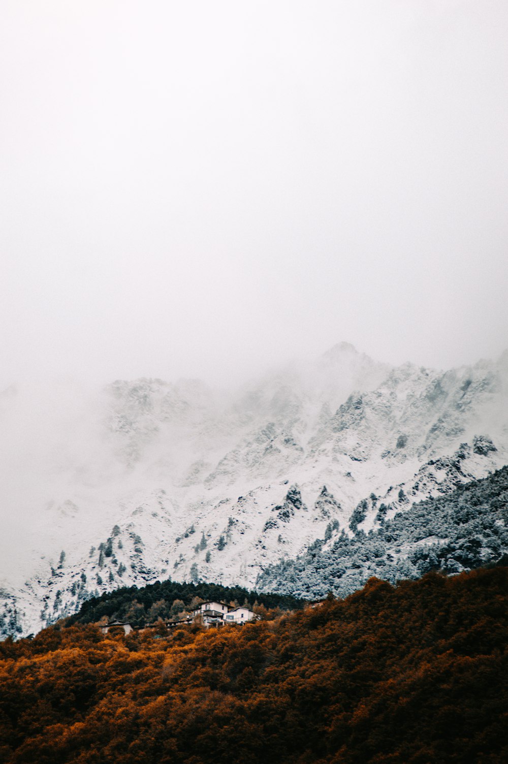 a snowy mountain with trees