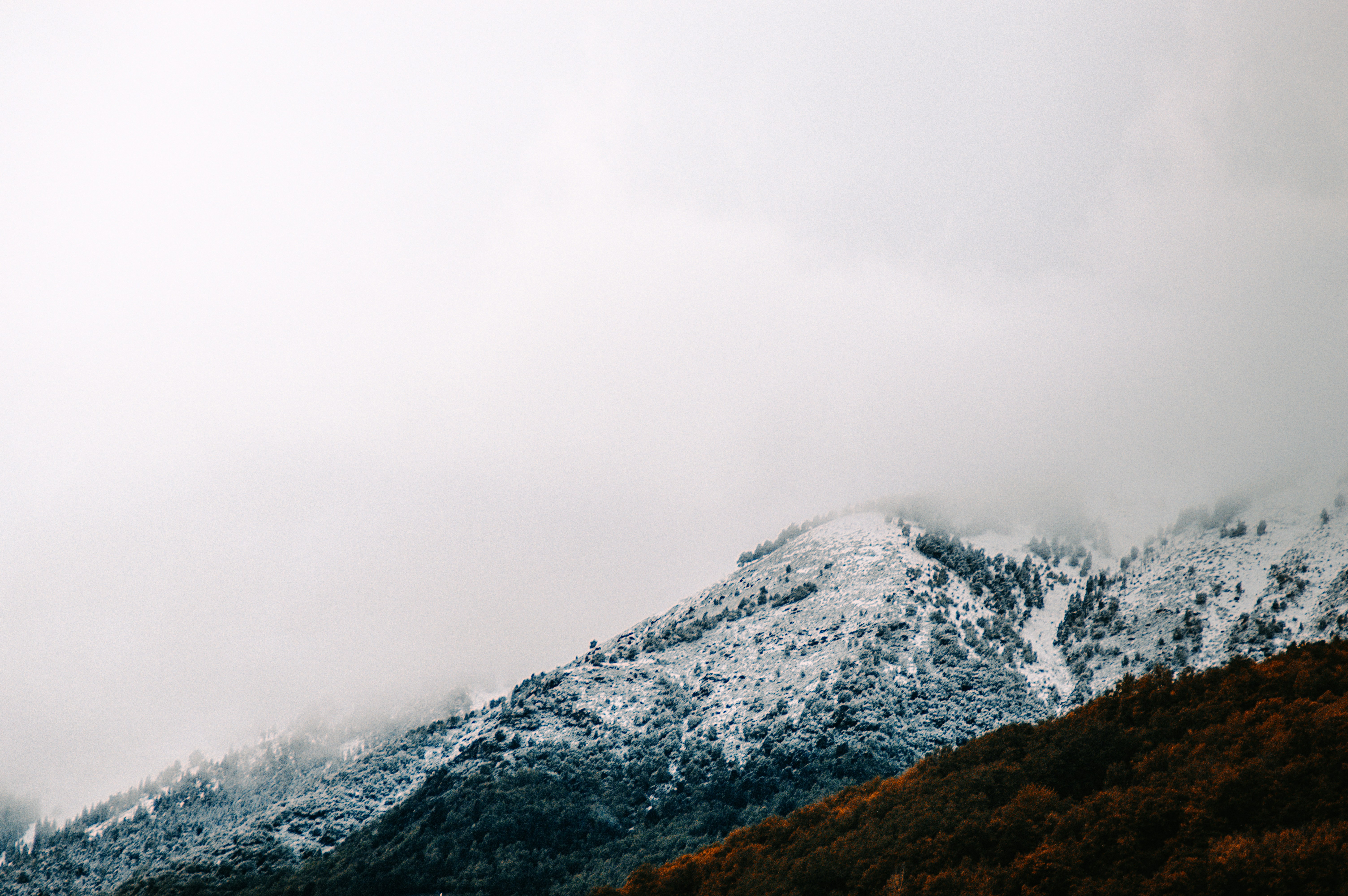 Photo by ilnevischio