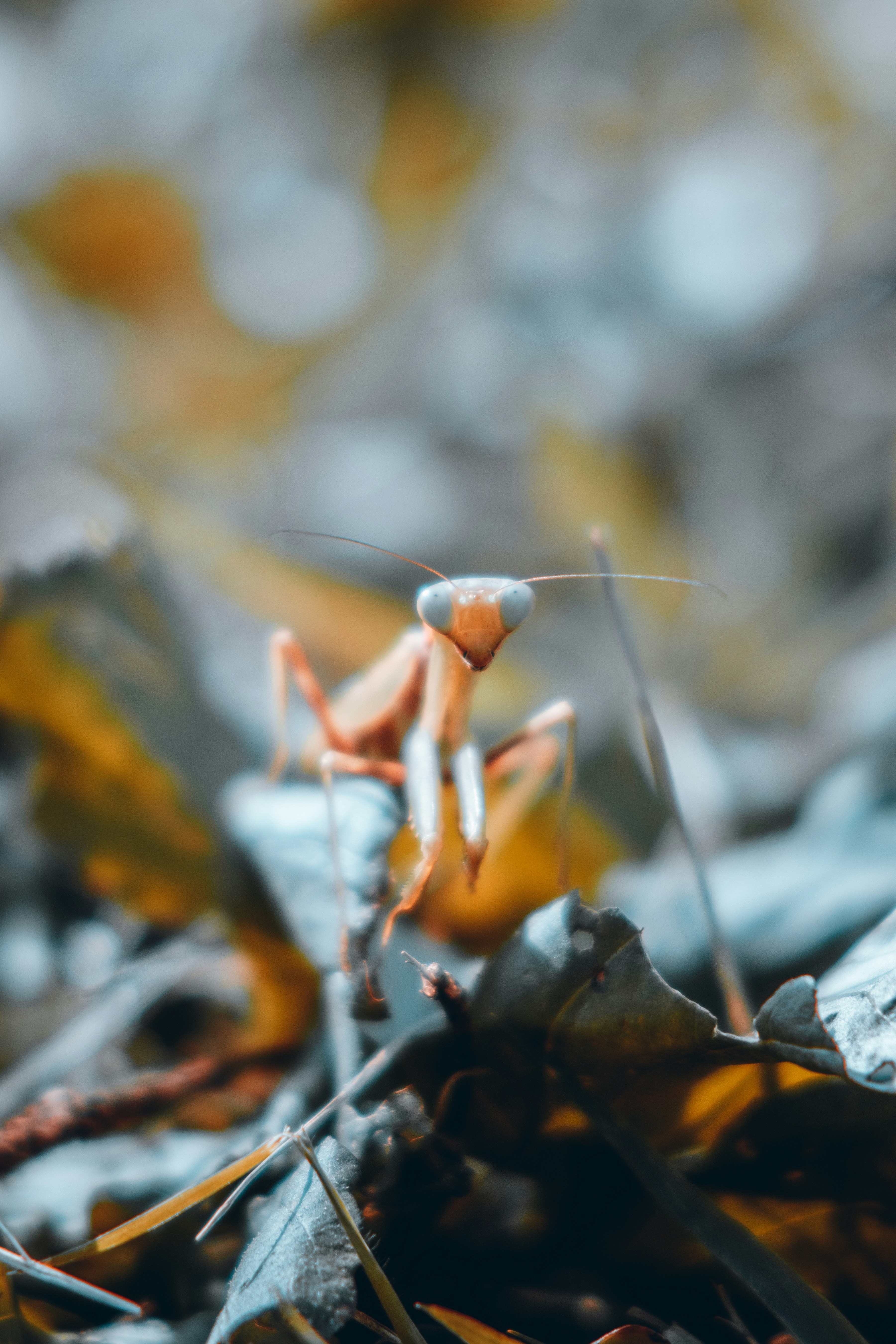 Photo by hiroyukisenn