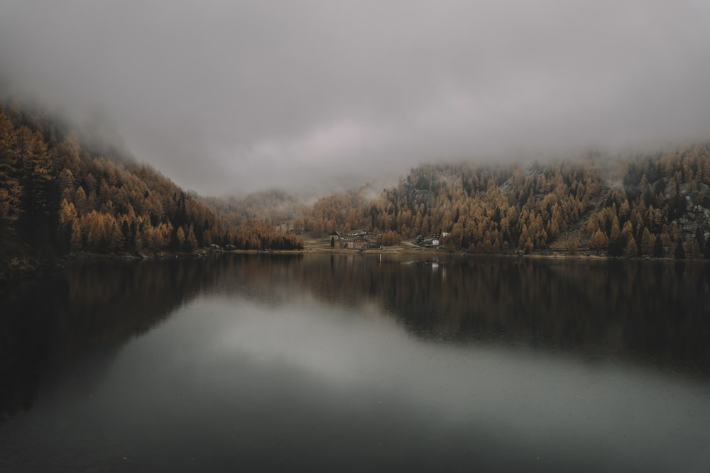 a lake surrounded by trees