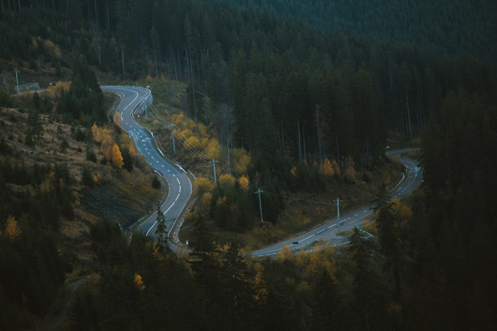 a winding road through a forest