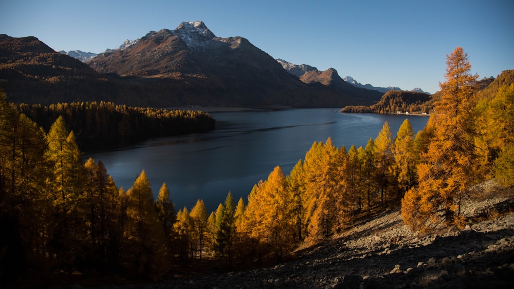 a lake surrounded by trees and mountains