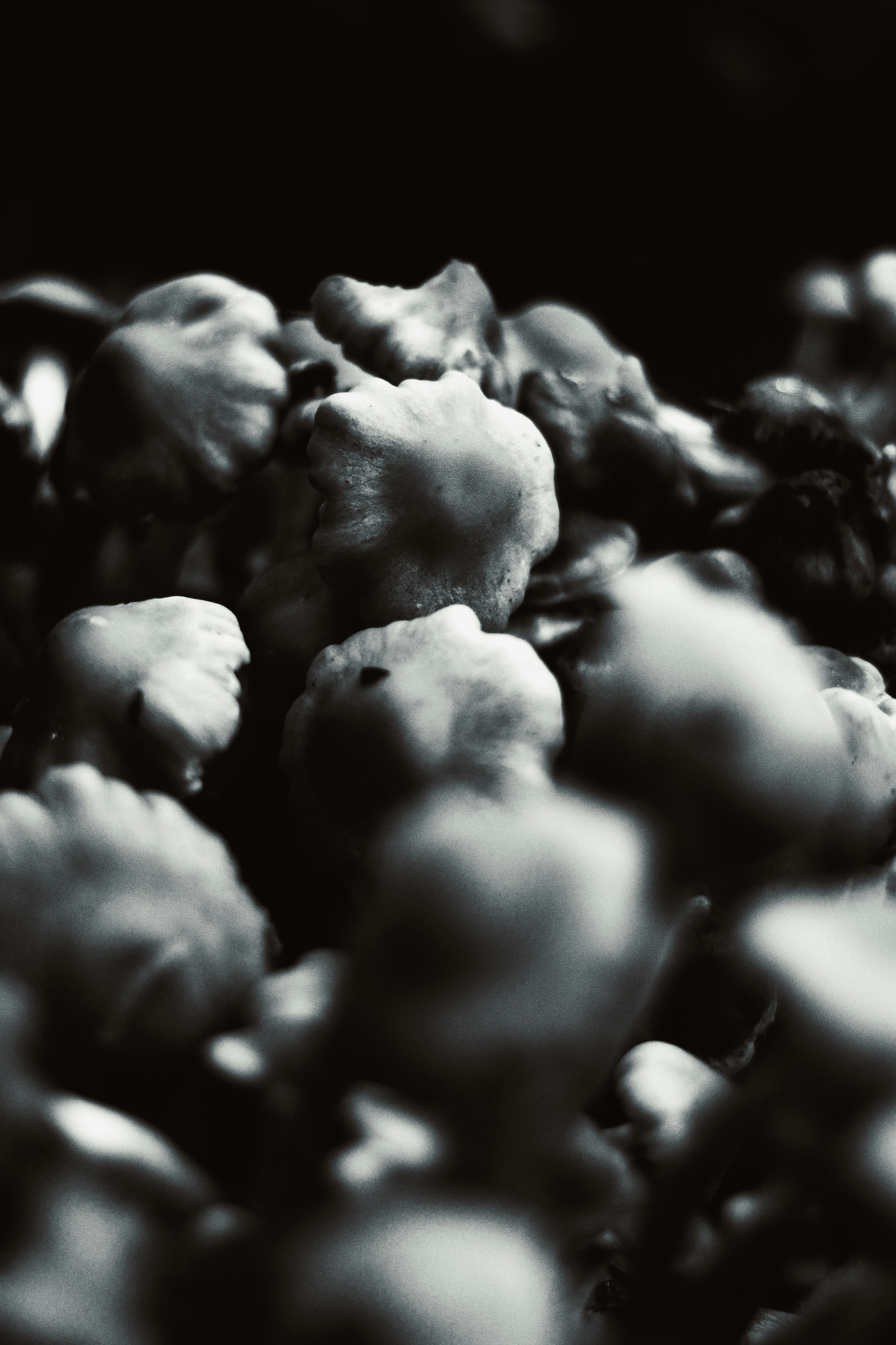 Photo by focalinsight