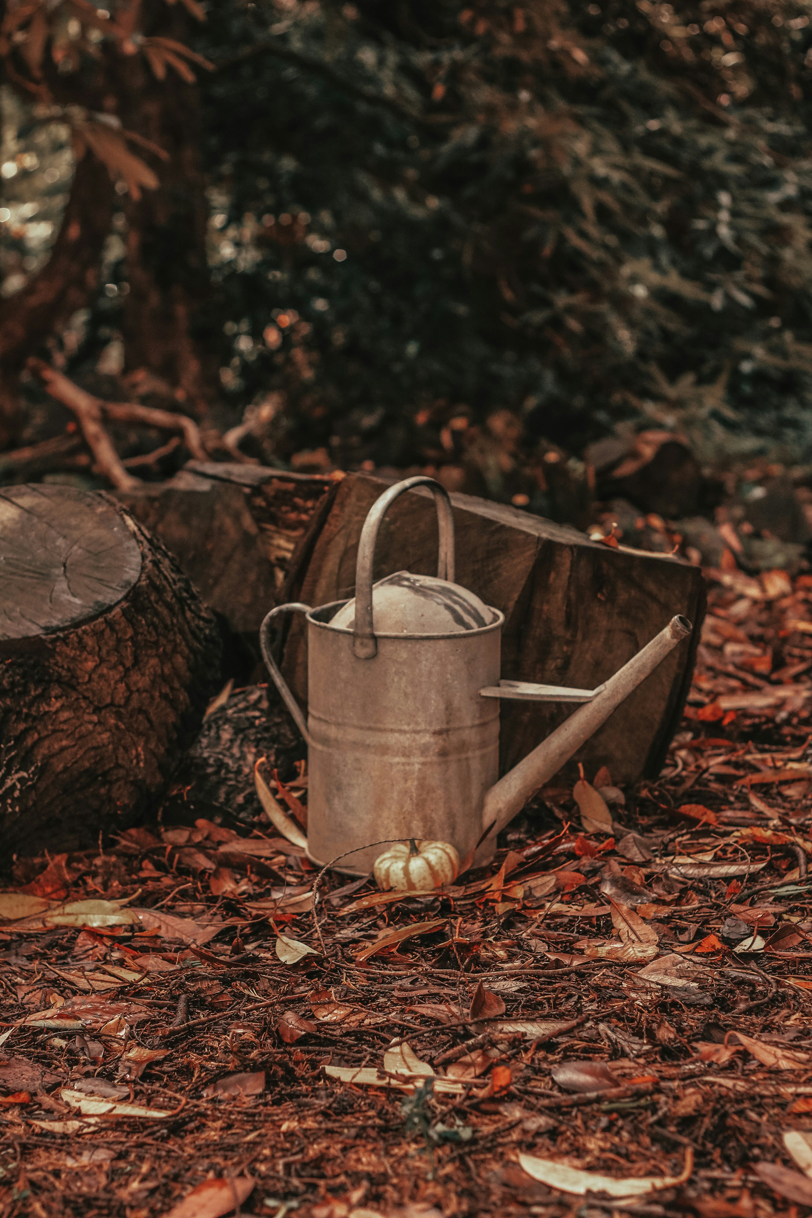 Photo by focalinsight