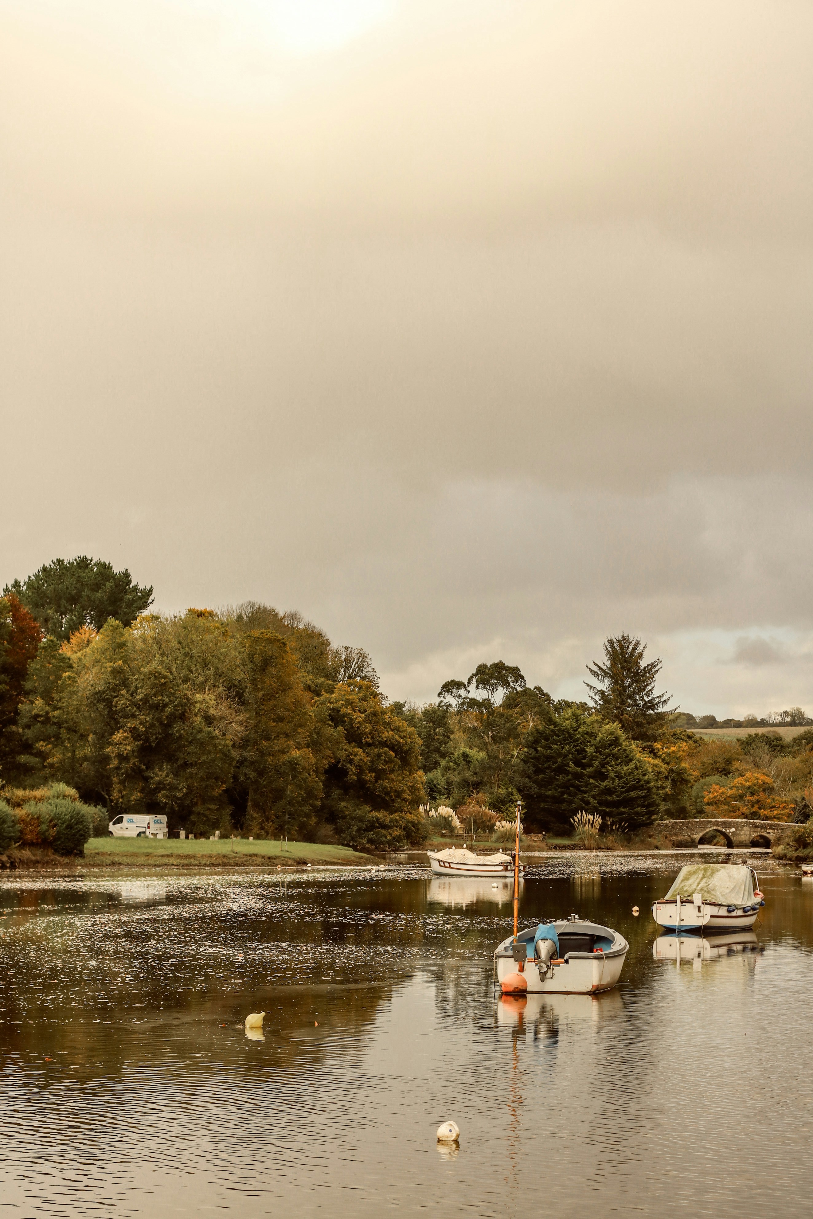 Photo by focalinsight