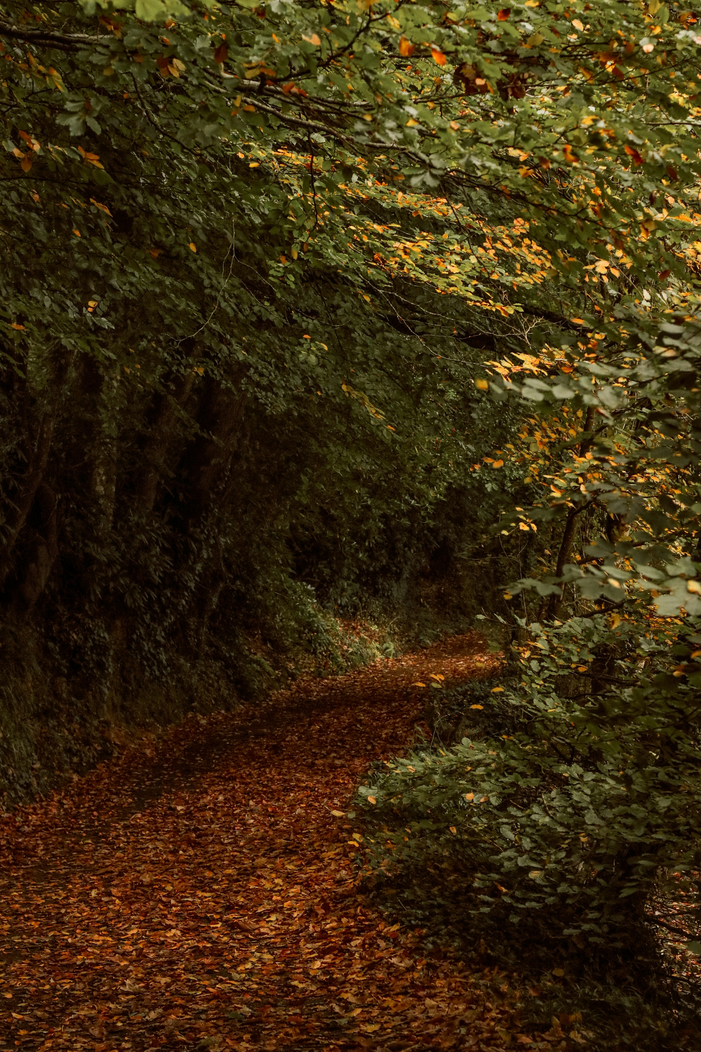 Photo by focalinsight