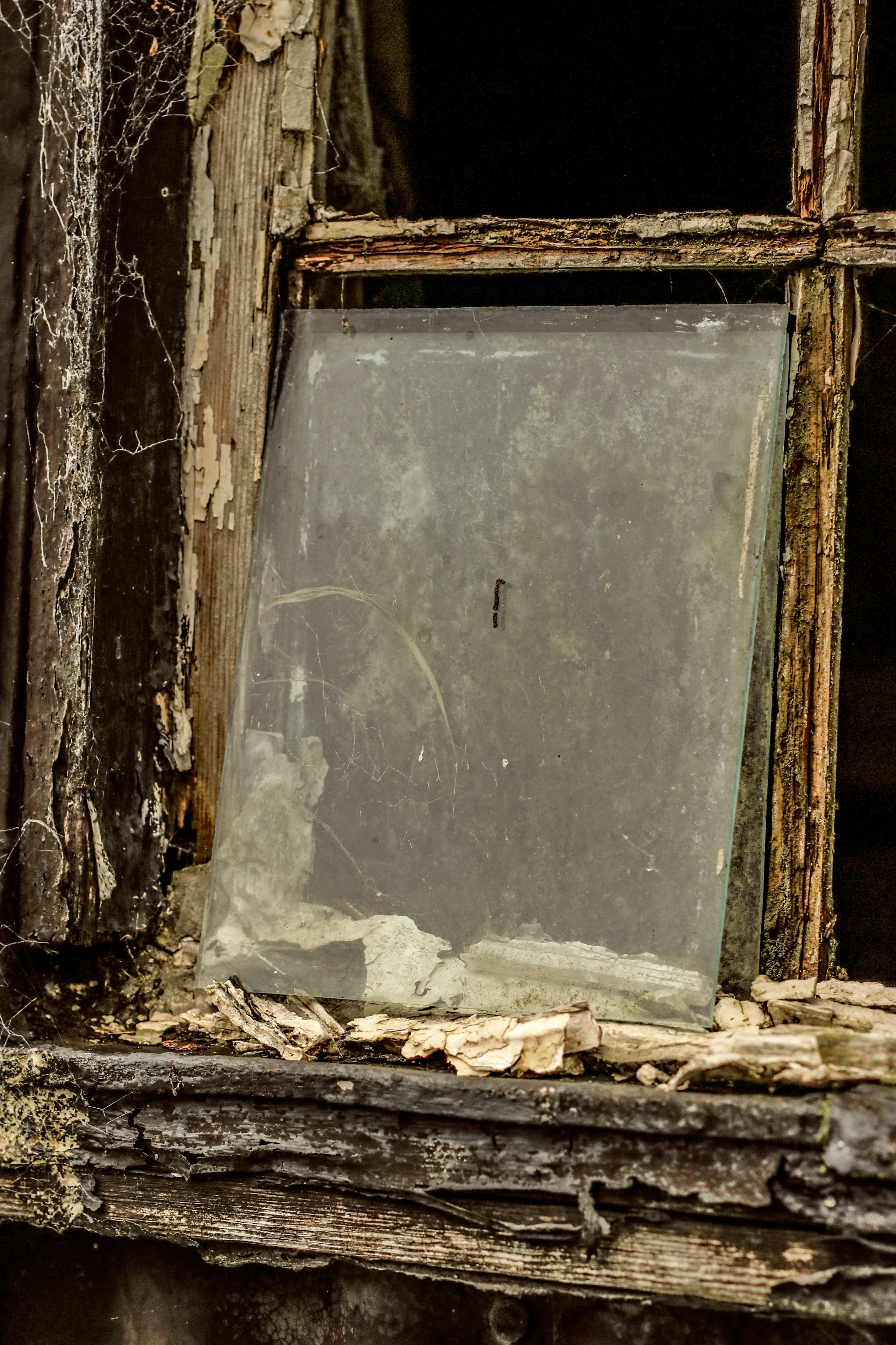 Photo by focalinsight