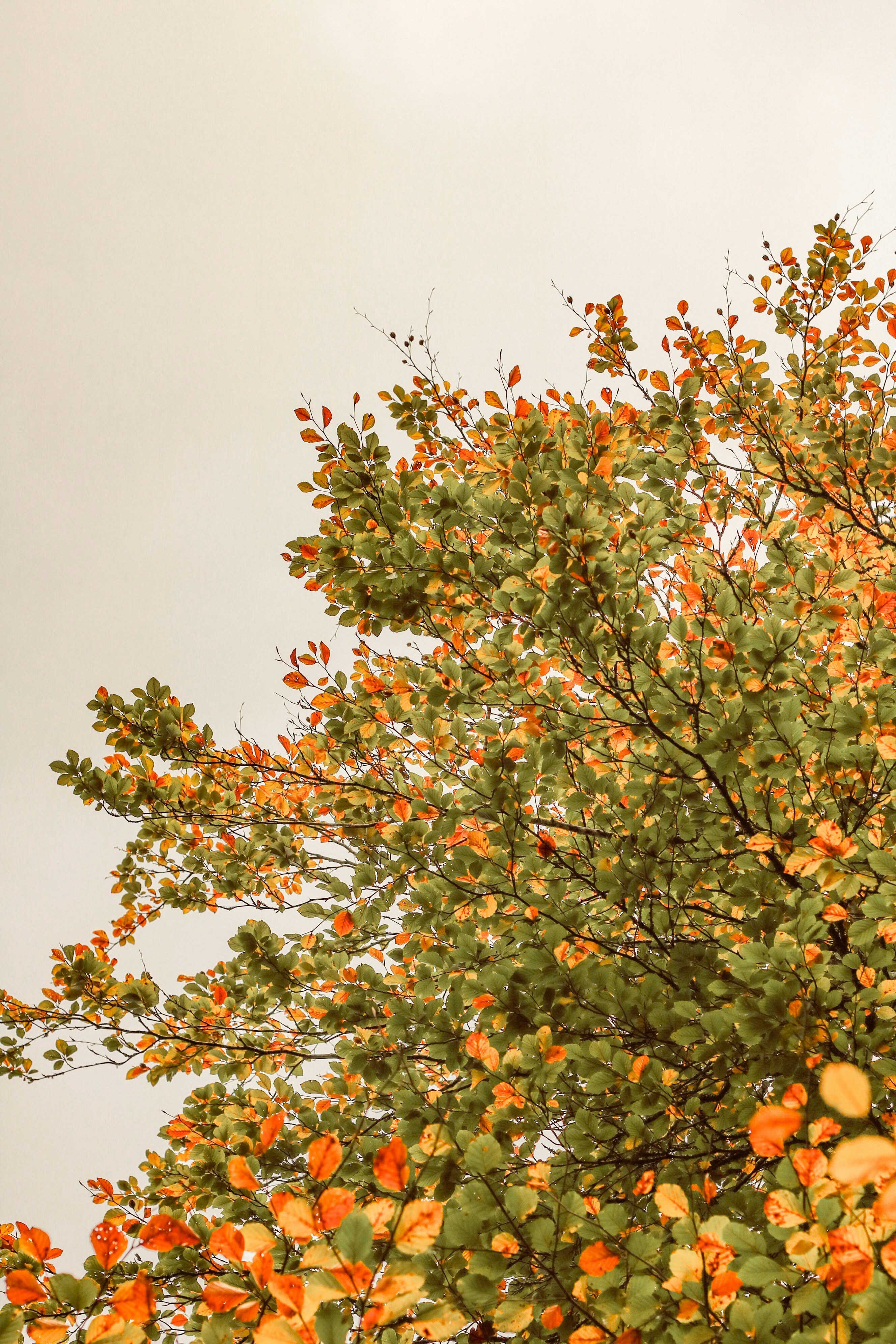 Photo by focalinsight