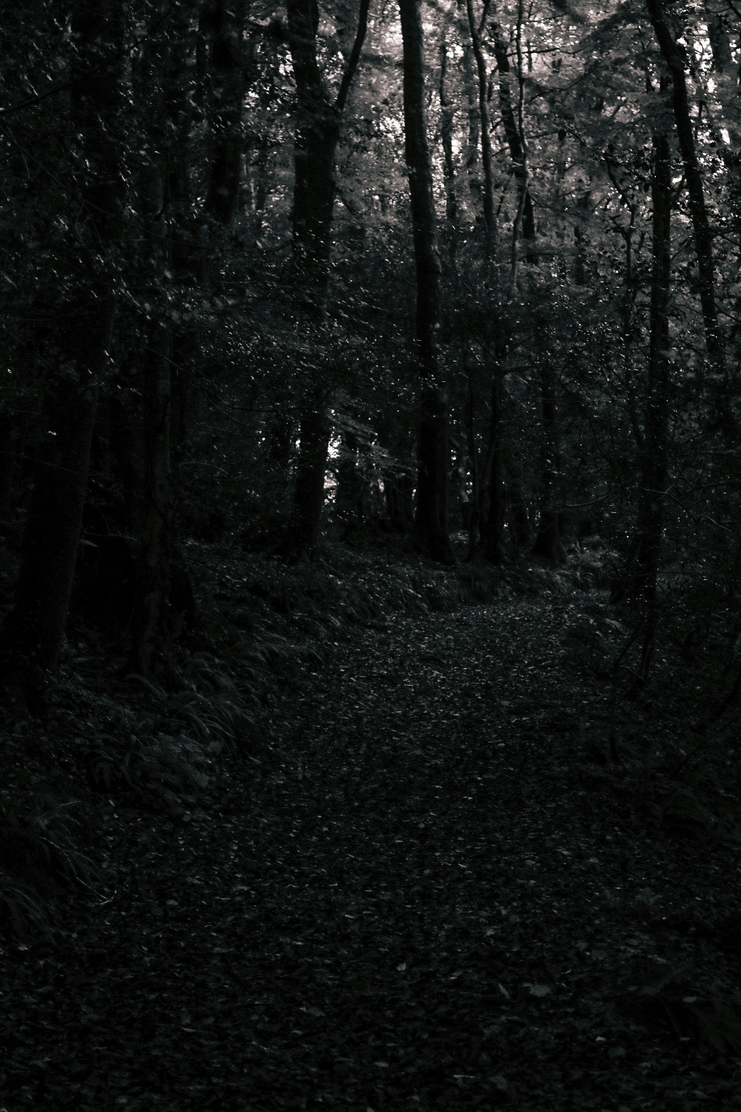 Photo by focalinsight