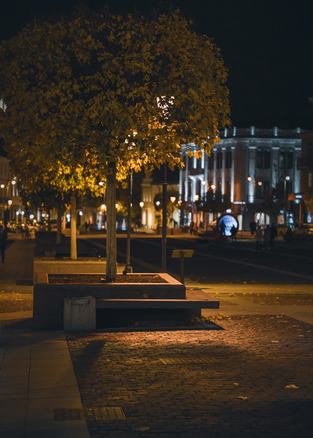 a tree in front of a building